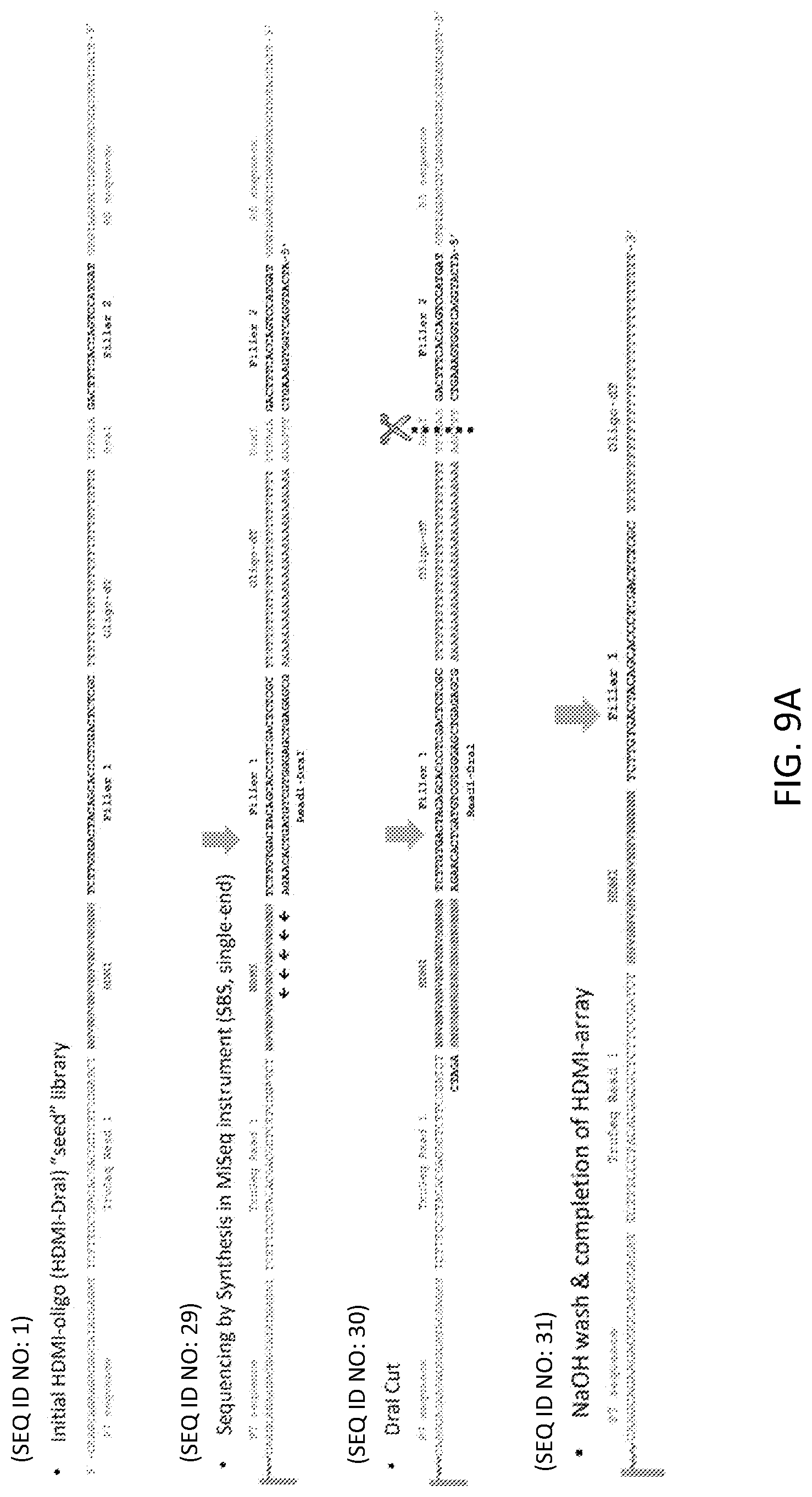 Patent US12319955 Figure 14 – Materials and methods for localized detection of nucleic acids in a tissue sample