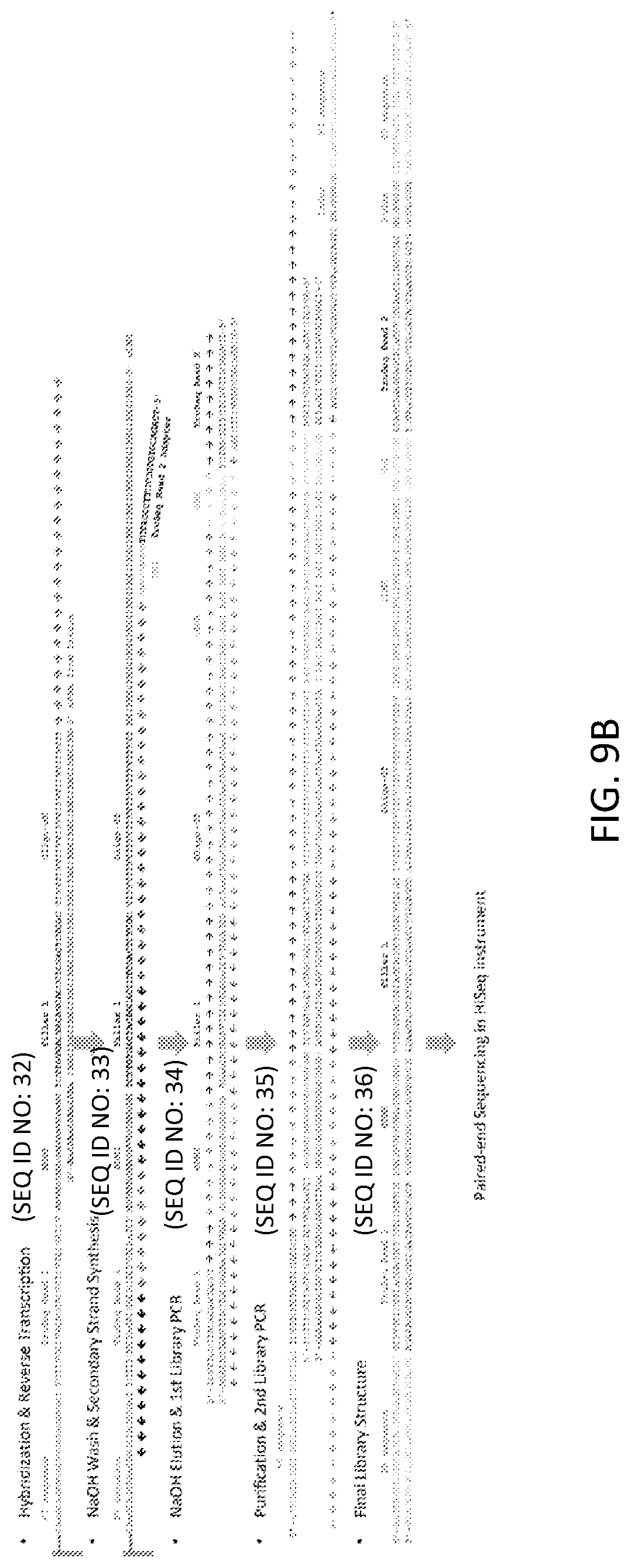 Patent US12319955 Figure 15 – Materials and methods for localized detection of nucleic acids in a tissue sample