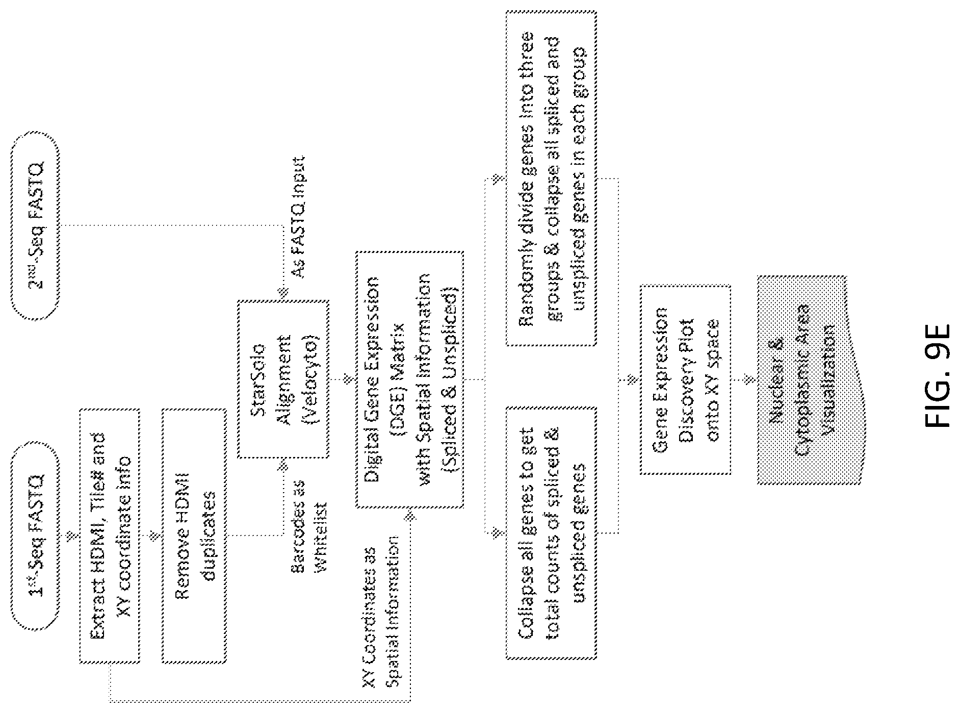 Patent US12319955 Figure 17 – Materials and methods for localized detection of nucleic acids in a tissue sample