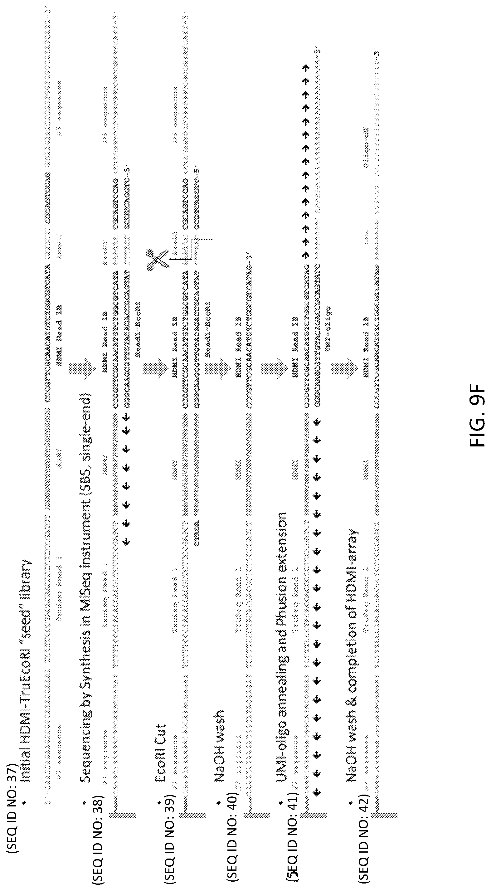 Patent US12319955 Figure 18 – Materials and methods for localized detection of nucleic acids in a tissue sample