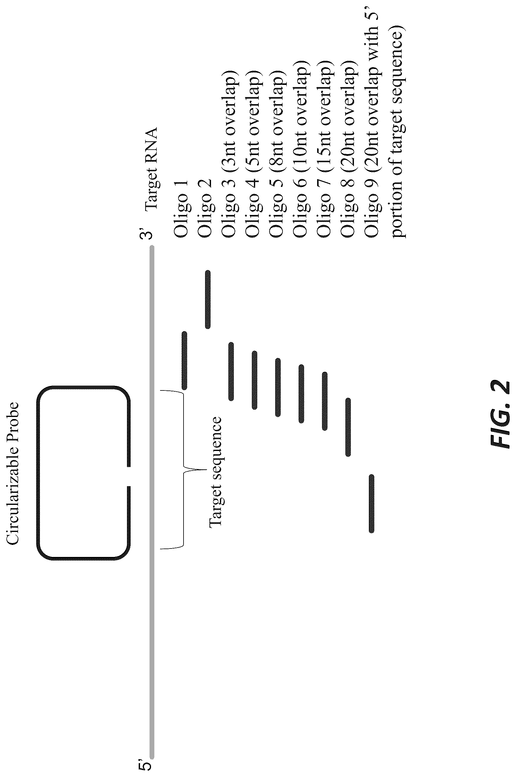 Patent US12319956 Figure 2 – Methods and systems for targeted RNA cleavage and target RNA-primed rolling circle amplification