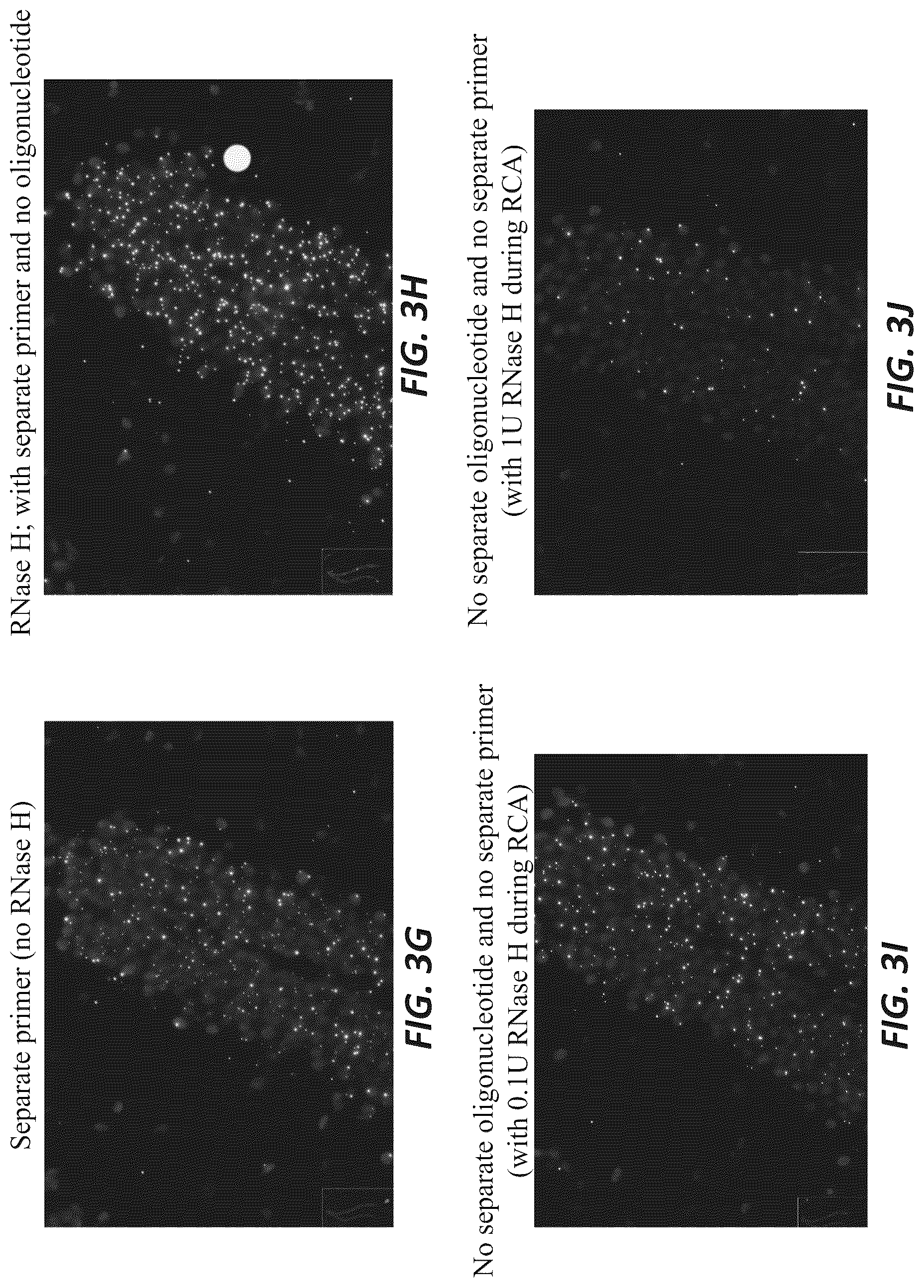 Patent US12319956 Figure 5 – Methods and systems for targeted RNA cleavage and target RNA-primed rolling circle amplification