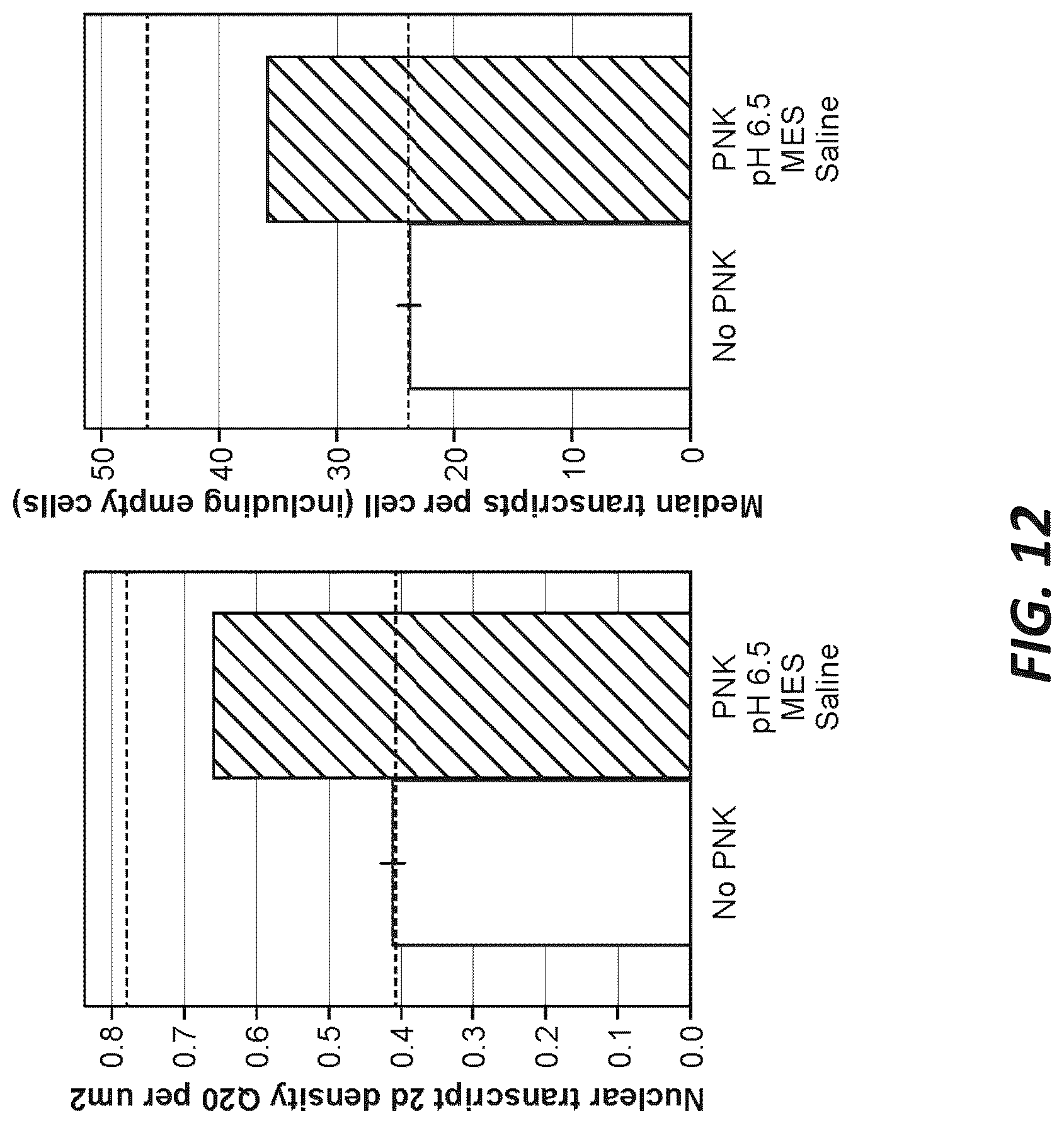 Patent US12319956 Figure 19 – Methods and systems for targeted RNA cleavage and target RNA-primed rolling circle amplification