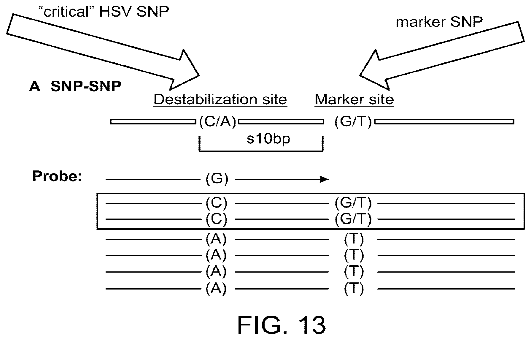 Patent US12319957 Figure 19 – Nucleic acid analysis by joining barcoded polynucleotide probes