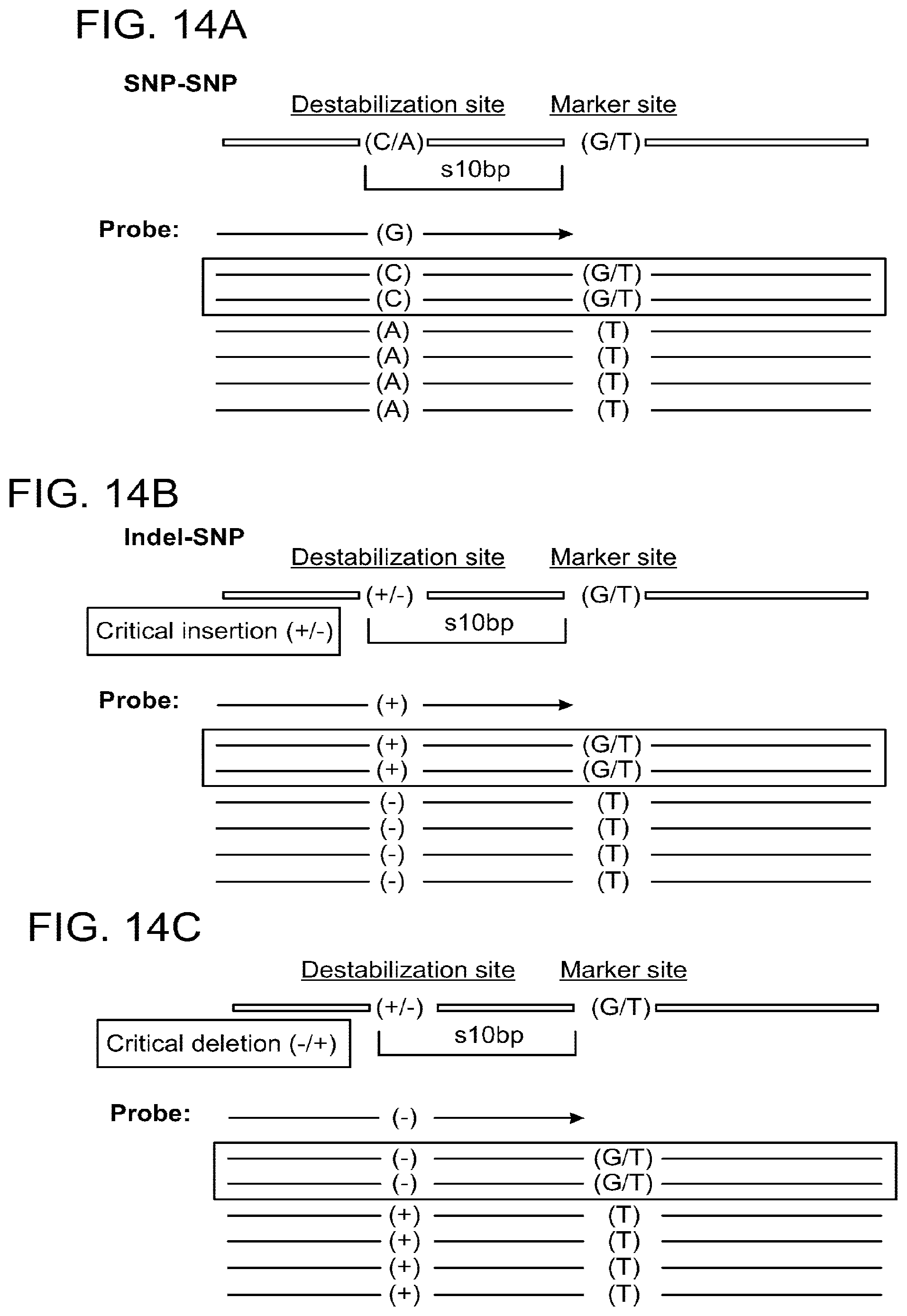 Patent US12319957 Figure 20 – Nucleic acid analysis by joining barcoded polynucleotide probes