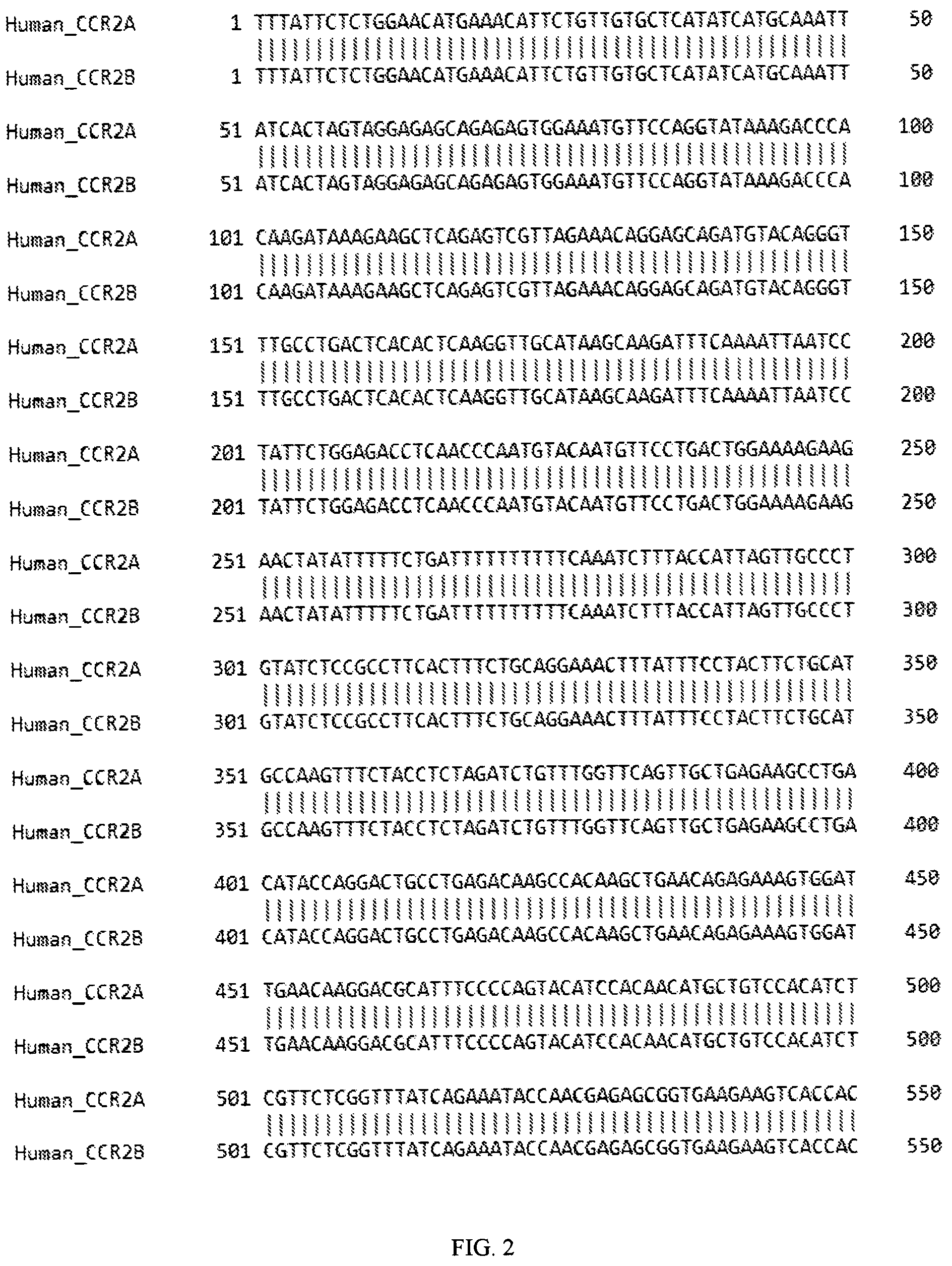 Patent US12319958 Figure 2 – Method and kit for CCR2 expression profiling and disease stratification