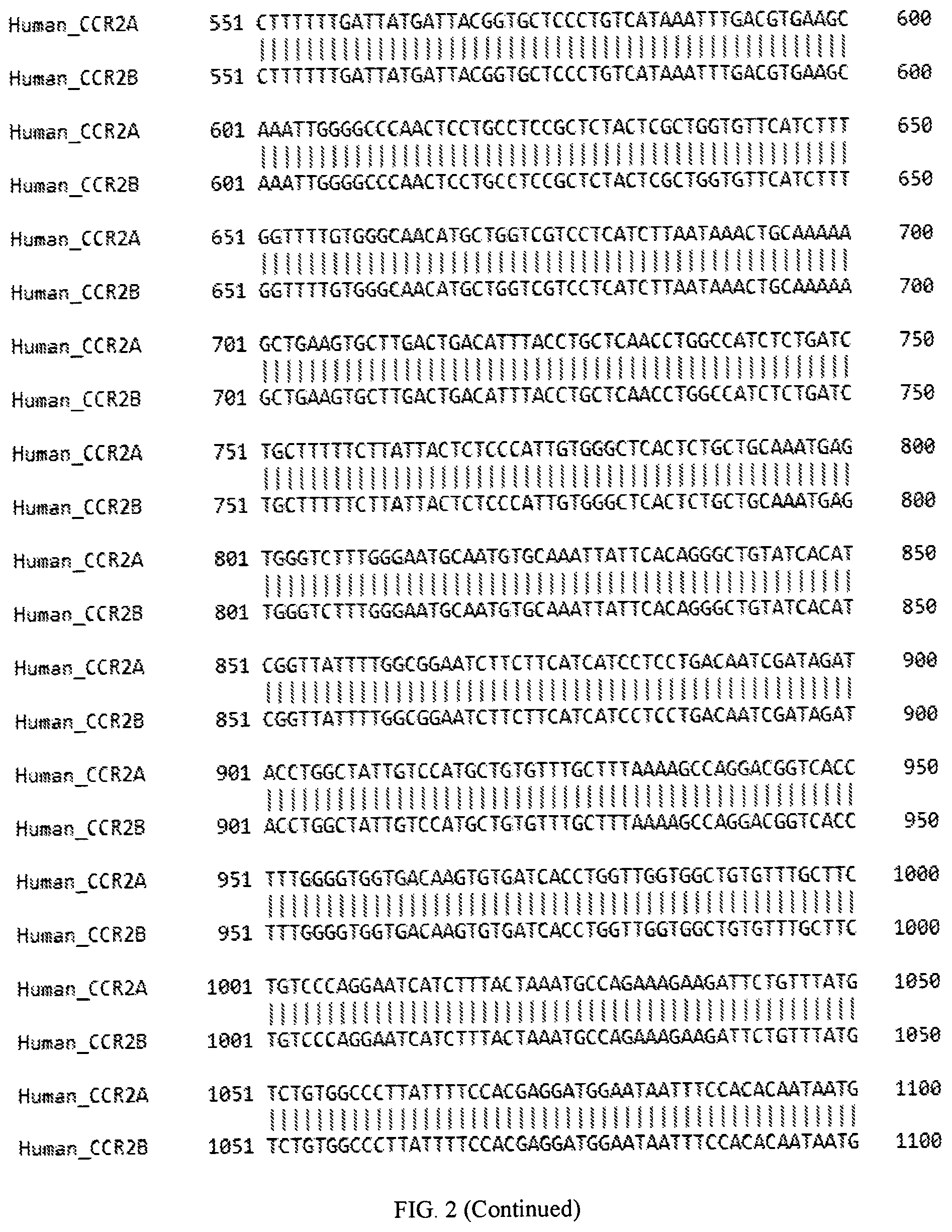 Patent US12319958 Figure 3 – Method and kit for CCR2 expression profiling and disease stratification