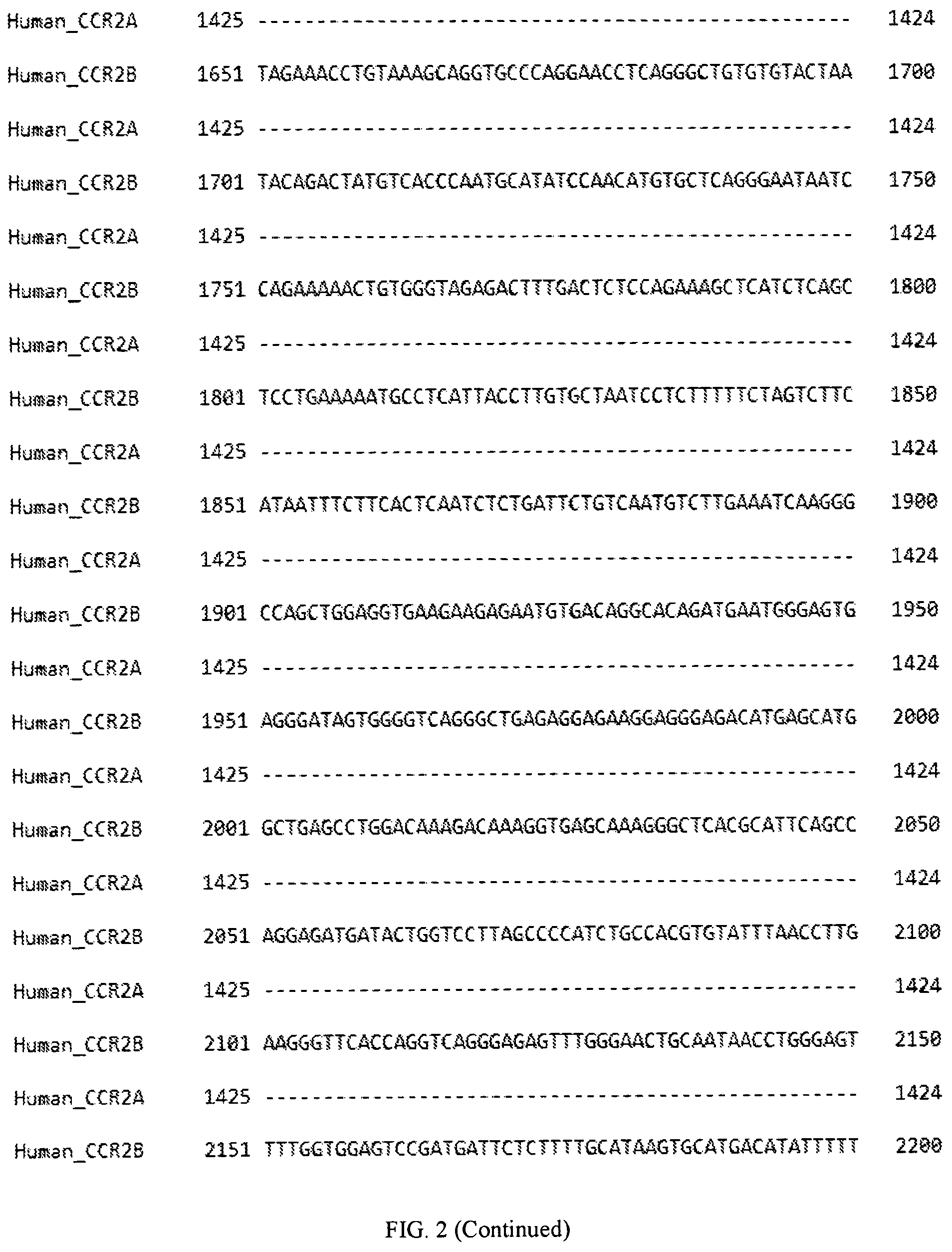 Patent US12319958 Figure 5 – Method and kit for CCR2 expression profiling and disease stratification