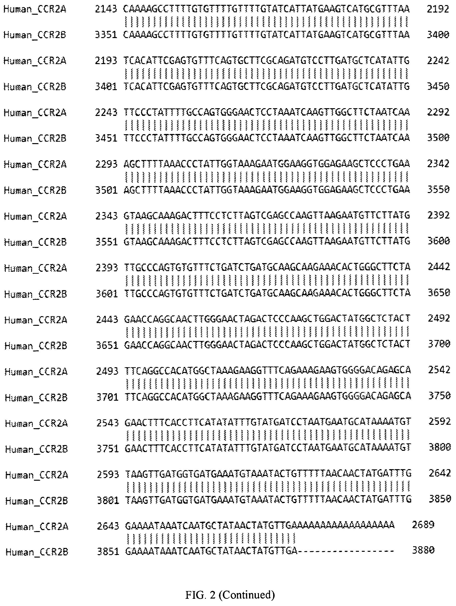 Patent US12319958 Figure 8 – Method and kit for CCR2 expression profiling and disease stratification