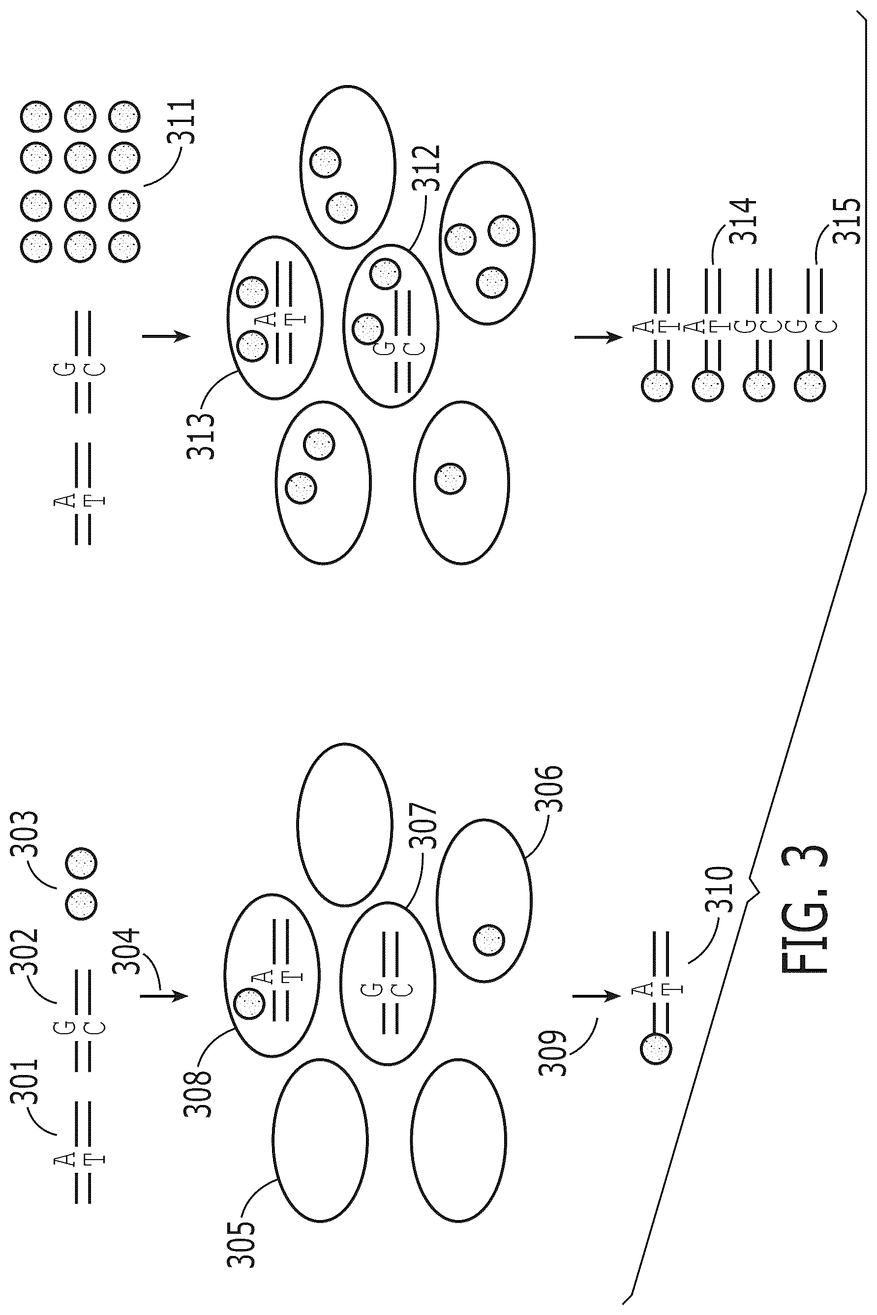 Patent US12319959 Figure 3 – Methods for nucleic acid analysis
