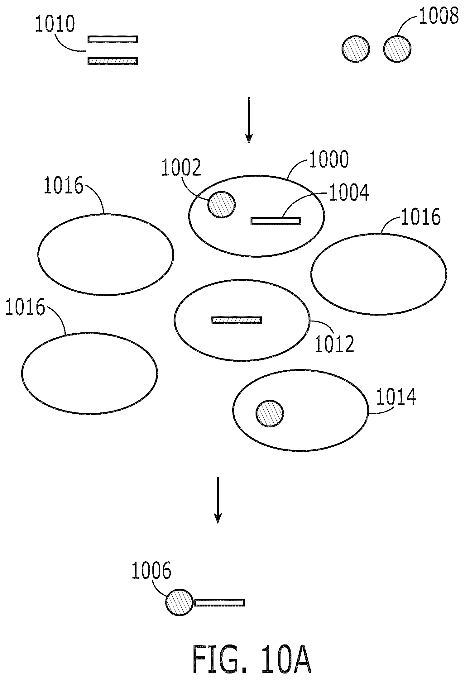 Patent US12319959 Figure 10 – Methods for nucleic acid analysis