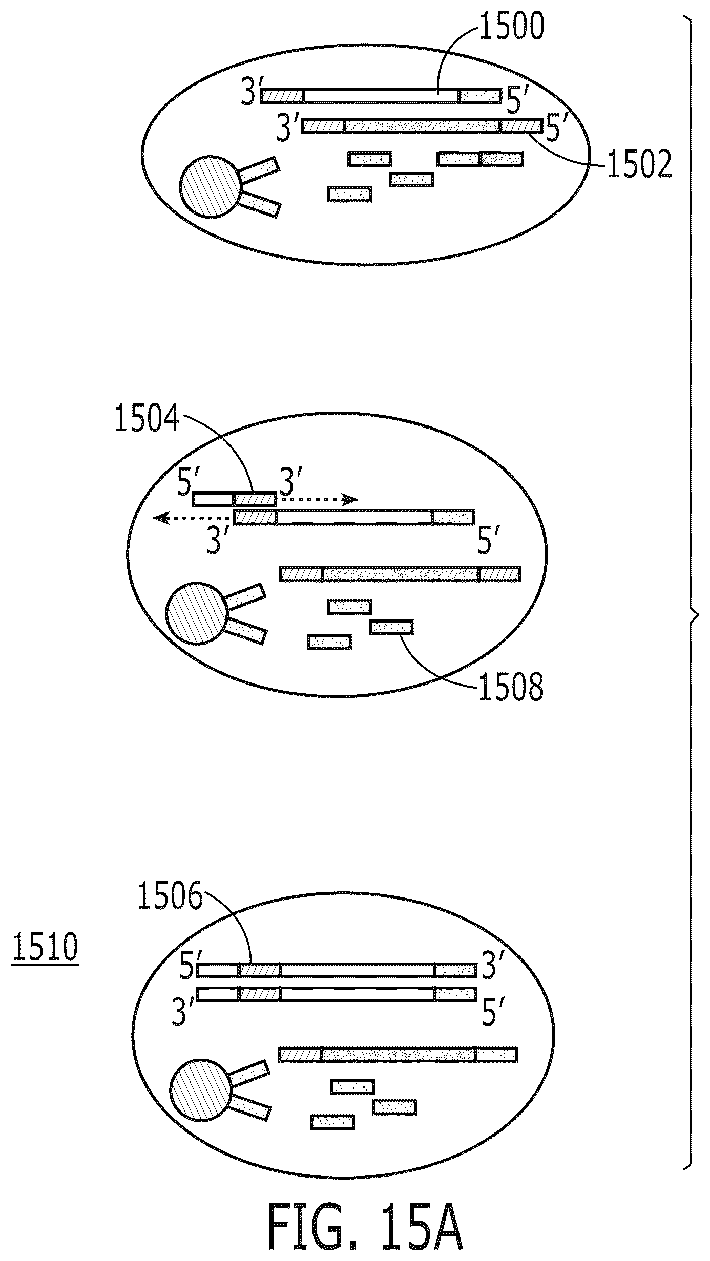Patent US12319959 Figure 17 – Methods for nucleic acid analysis