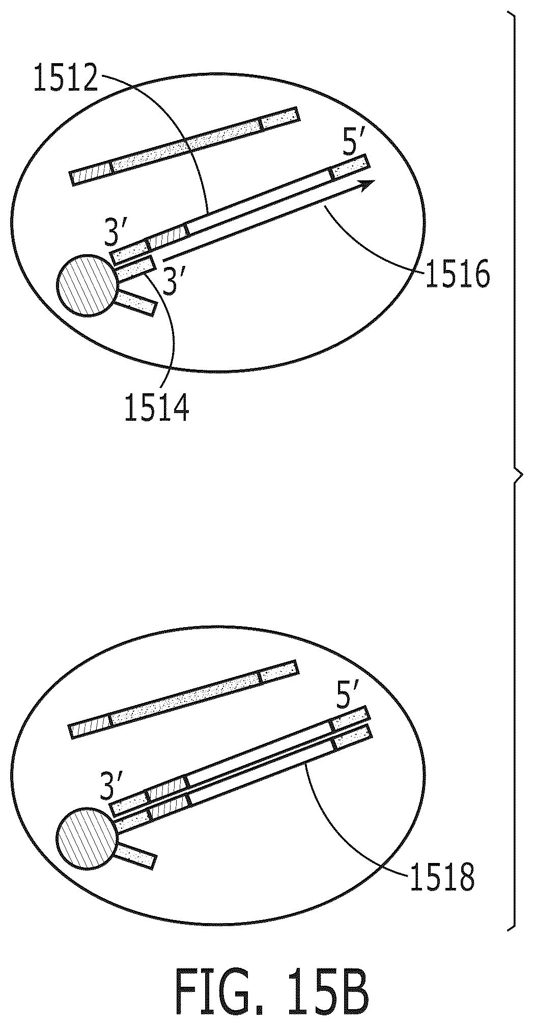 Patent US12319959 Figure 18 – Methods for nucleic acid analysis