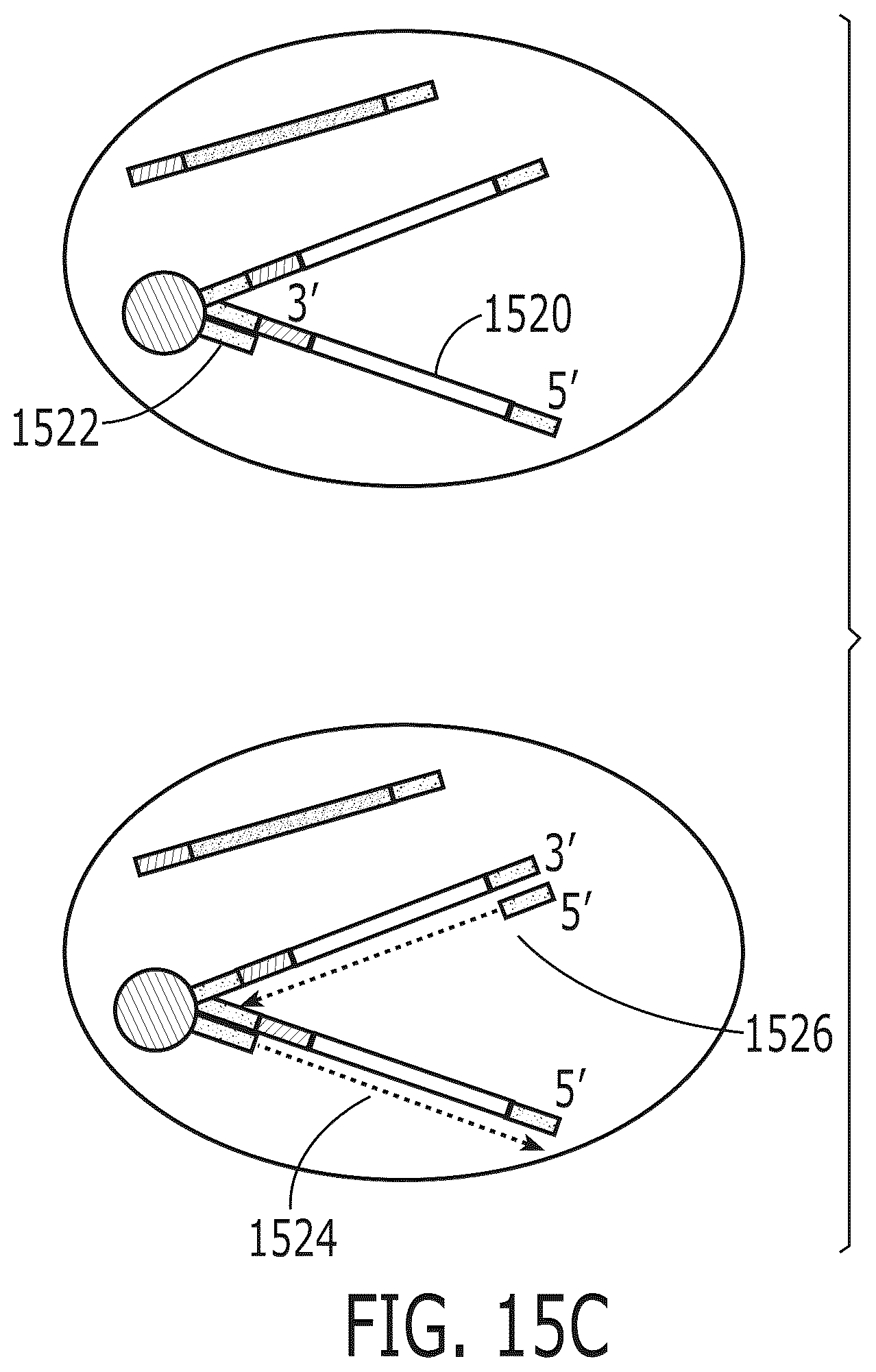 Patent US12319959 Figure 19 – Methods for nucleic acid analysis