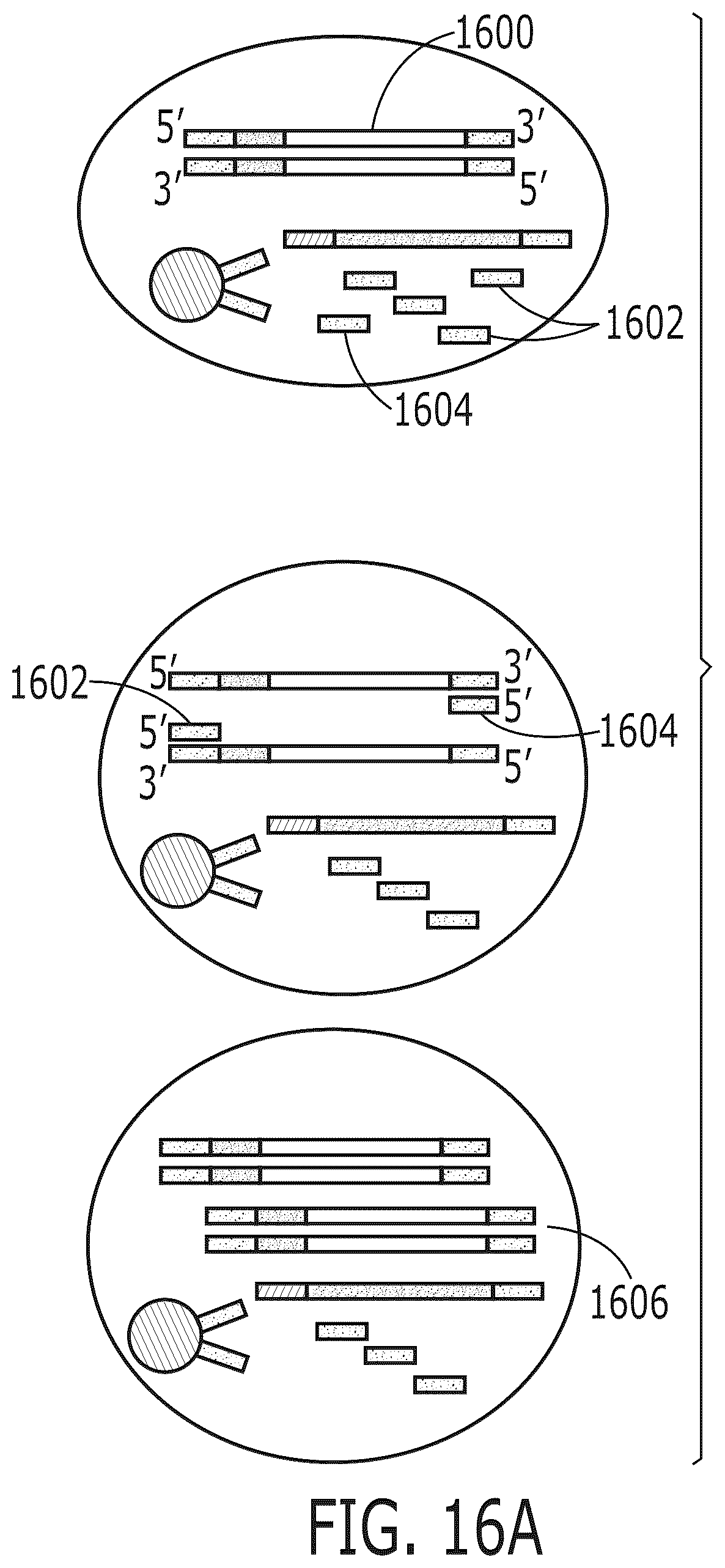 Patent US12319959 Figure 20 – Methods for nucleic acid analysis