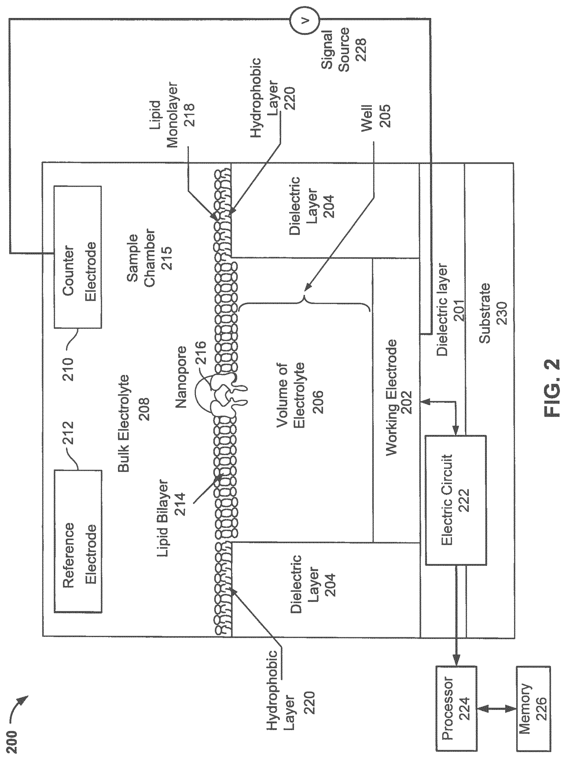 Patent US12319960 Figure 2 – Nanopore voltage methods