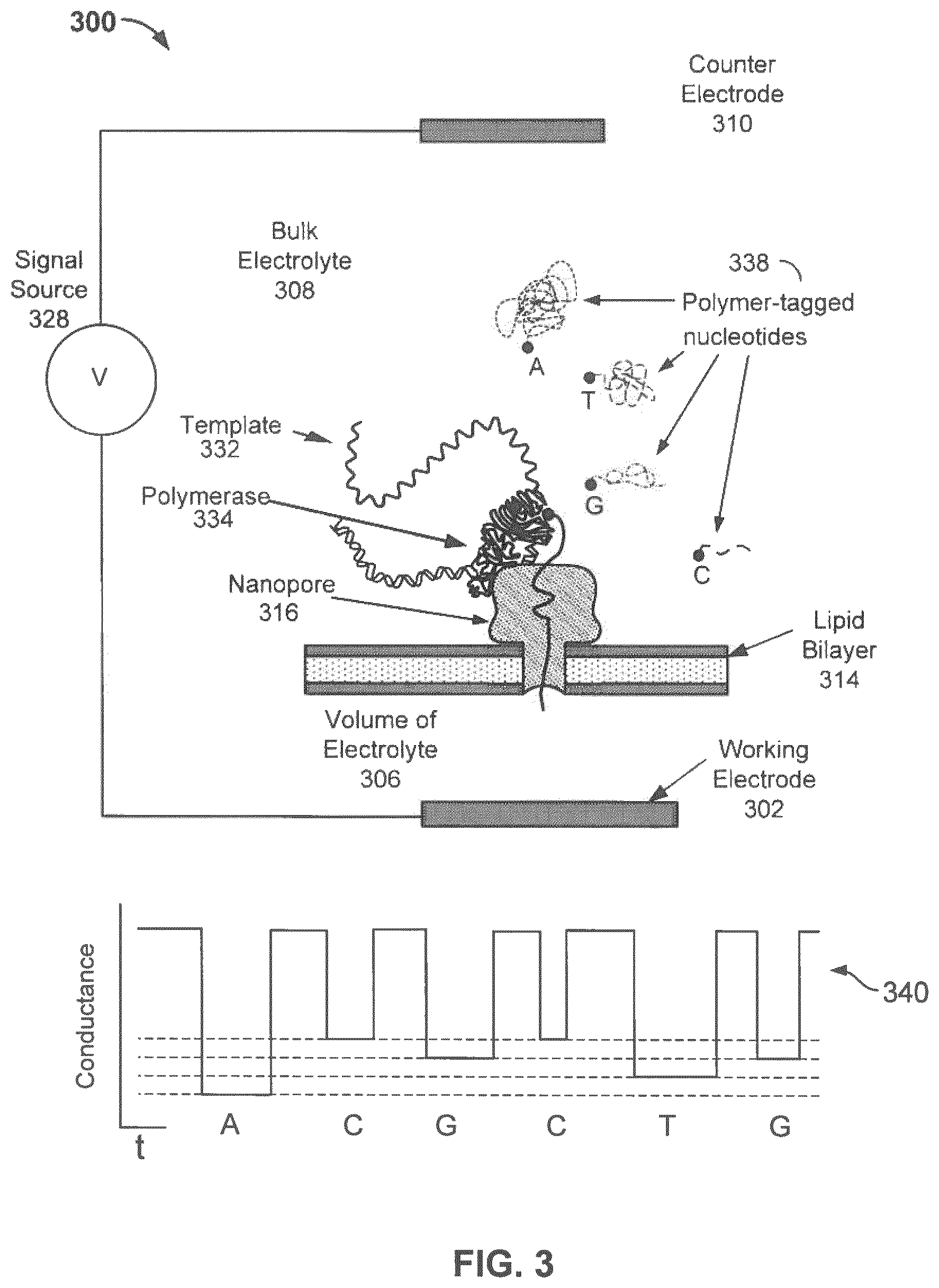 Patent US12319960 Figure 3 – Nanopore voltage methods