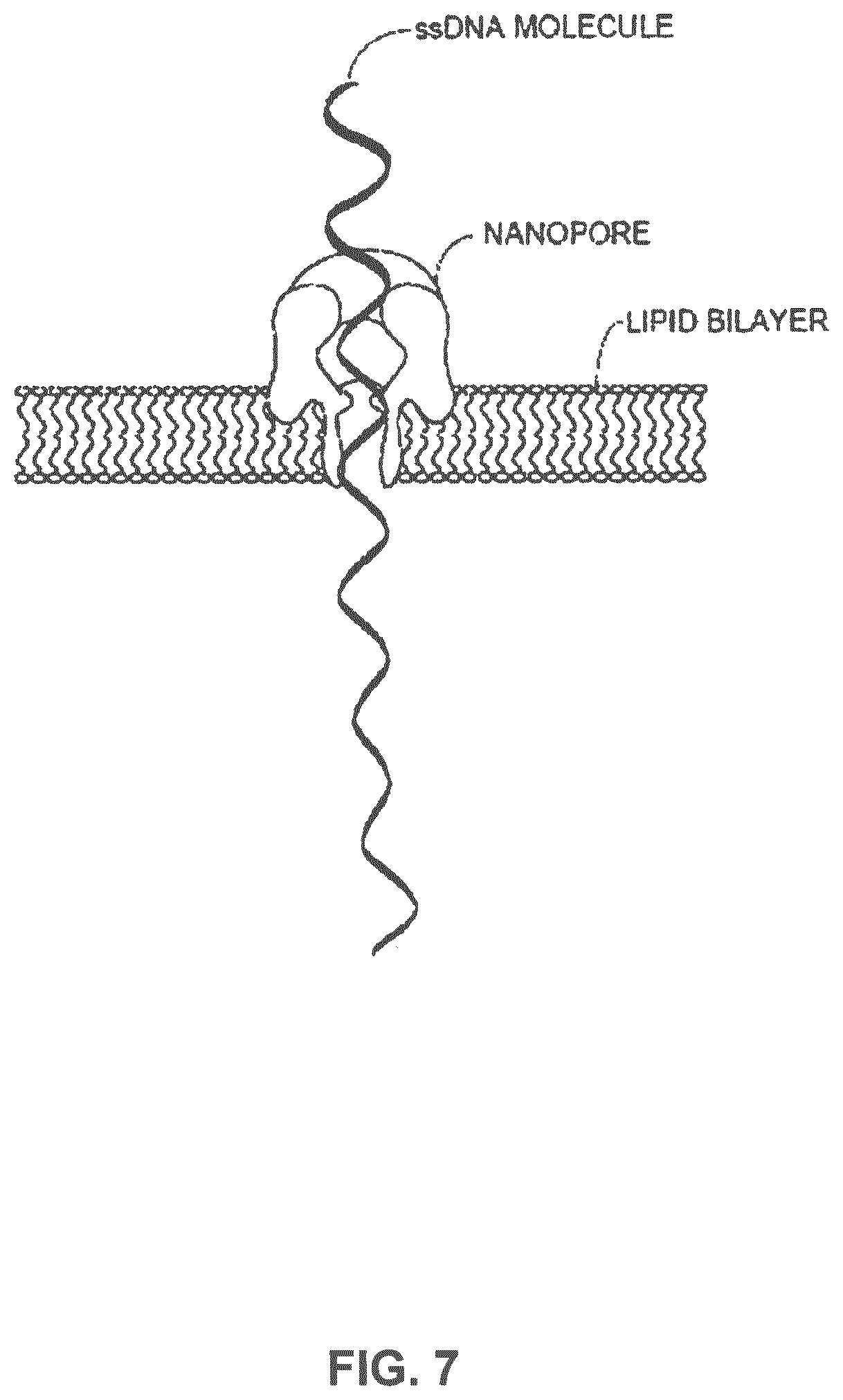 Patent US12319960 Figure 7 – Nanopore voltage methods