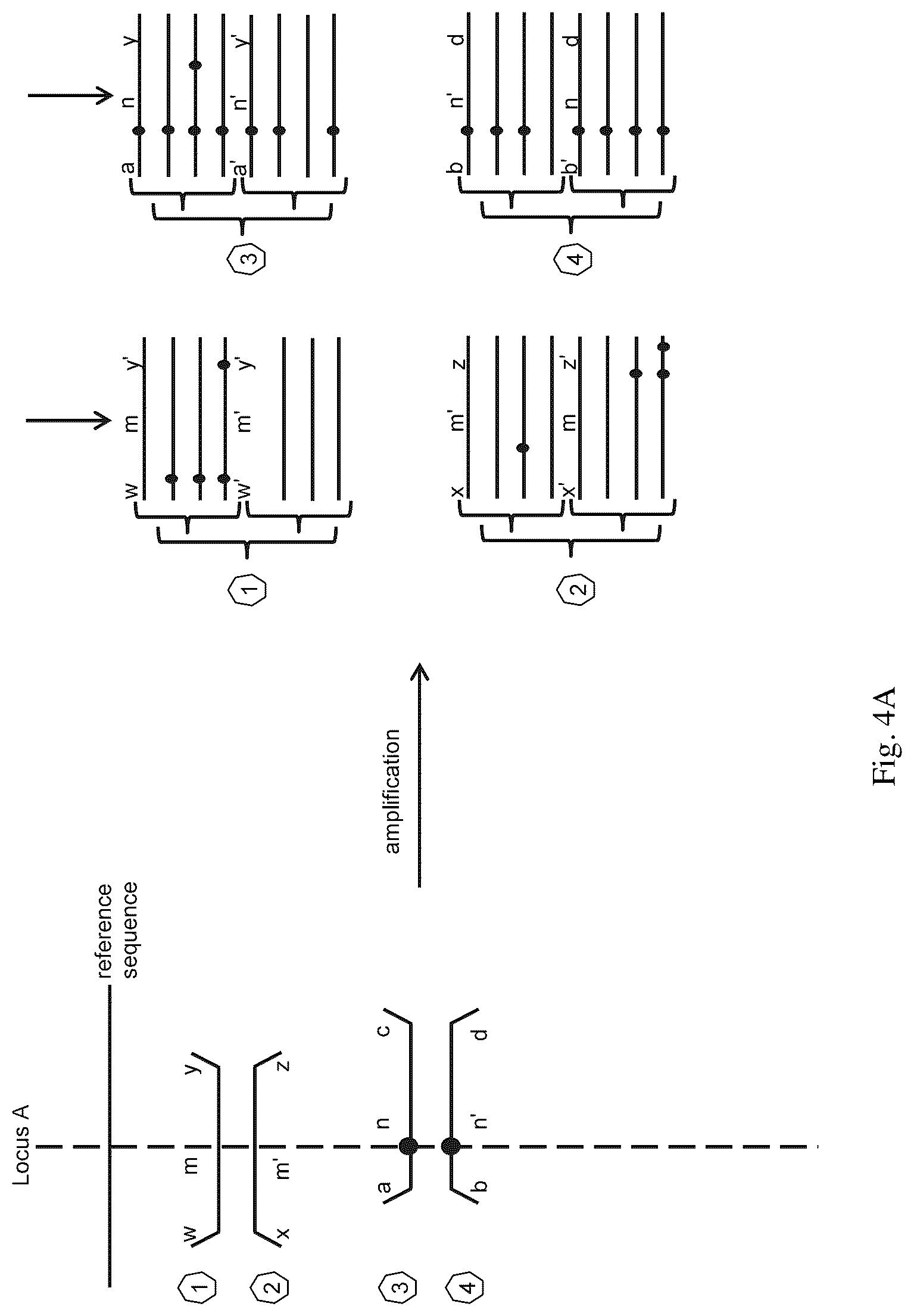 Patent US12319961 Figure 4 – Methods and systems for detecting genetic variants