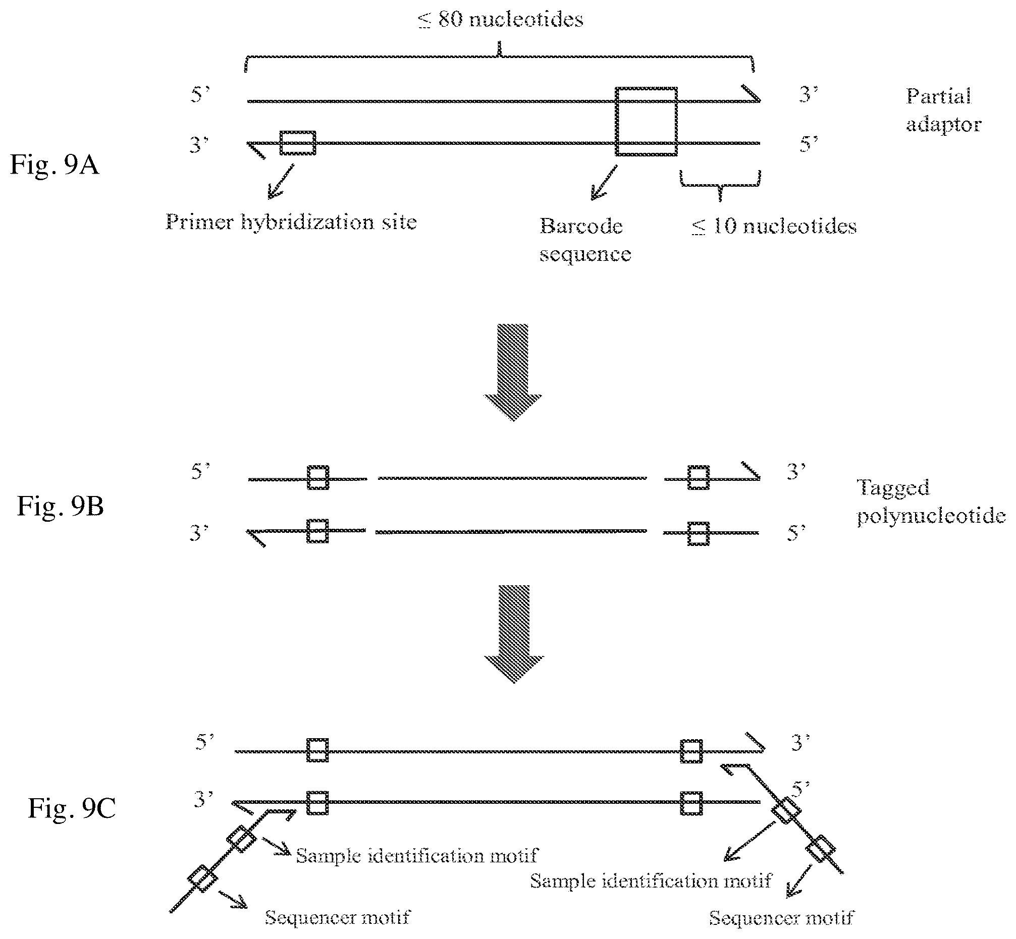 Patent US12319961 Figure 11 – Methods and systems for detecting genetic variants
