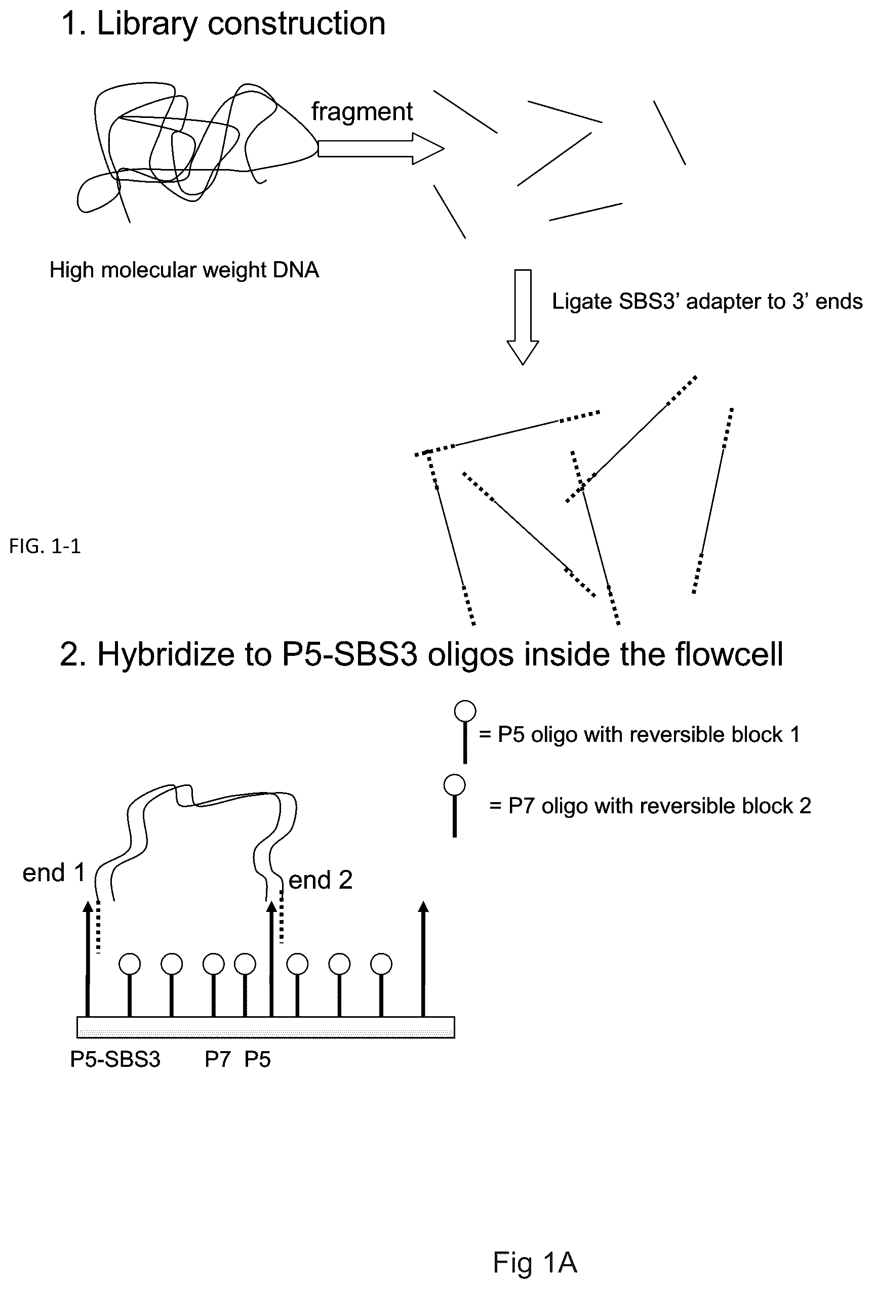 Patent US12319962 Figure 1 – Methods for sequencing polynucleotides
