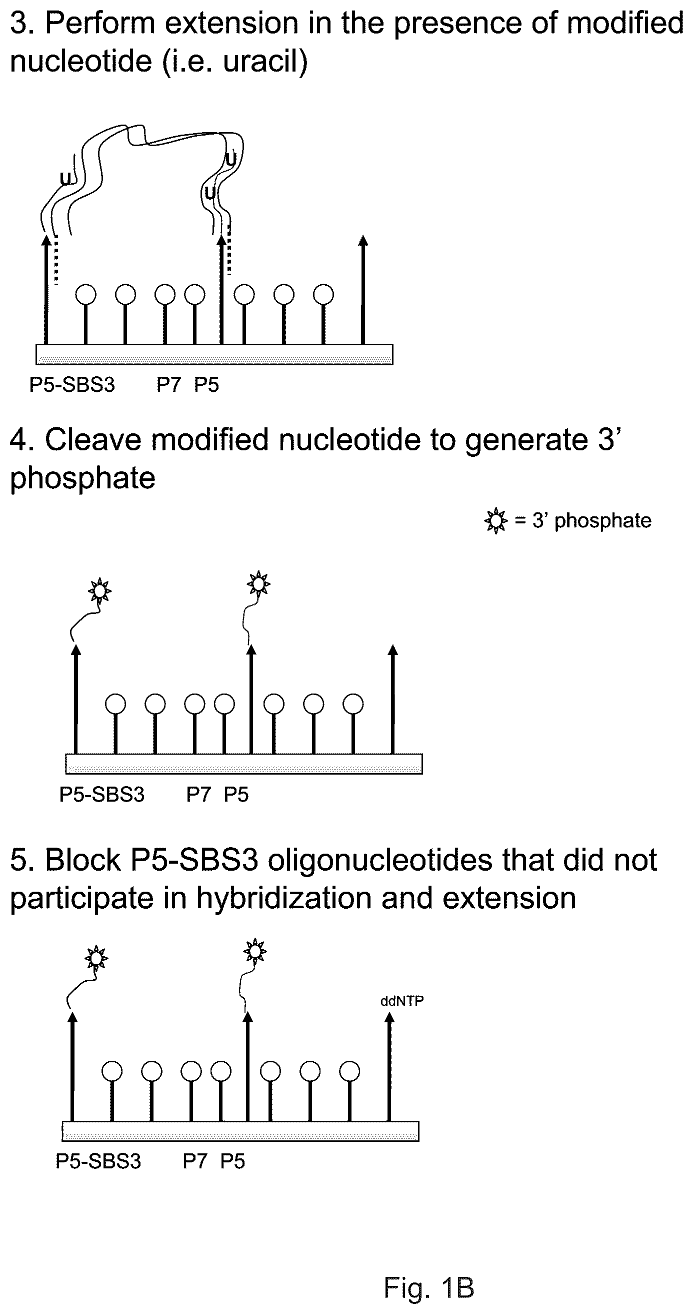 Patent US12319962 Figure 2 – Methods for sequencing polynucleotides