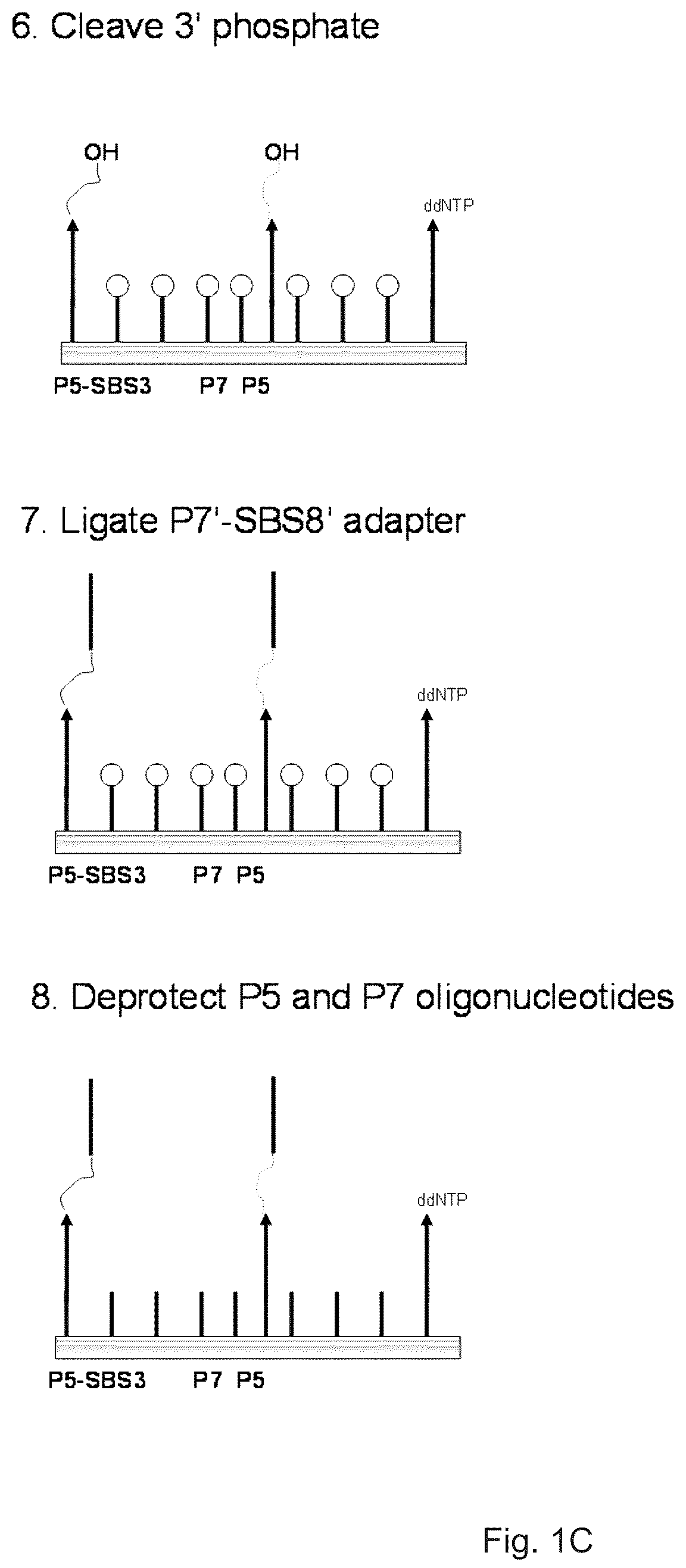 Patent US12319962 Figure 3 – Methods for sequencing polynucleotides