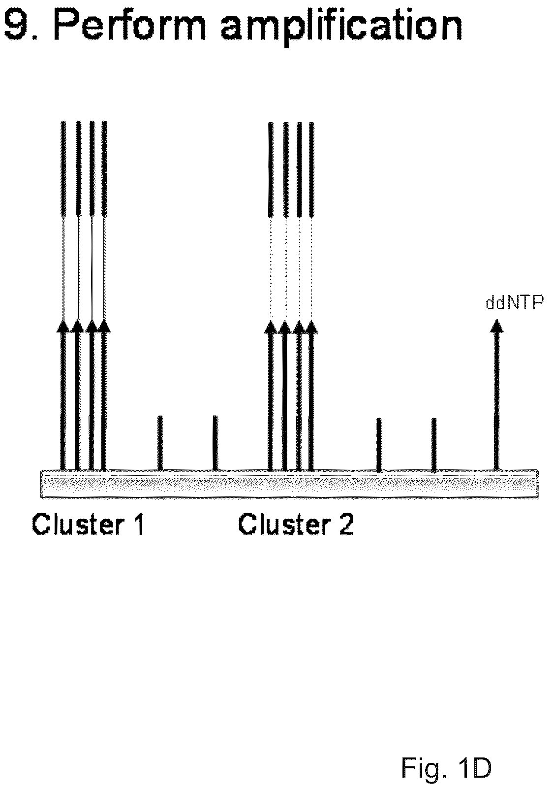 Patent US12319962 Figure 4 – Methods for sequencing polynucleotides