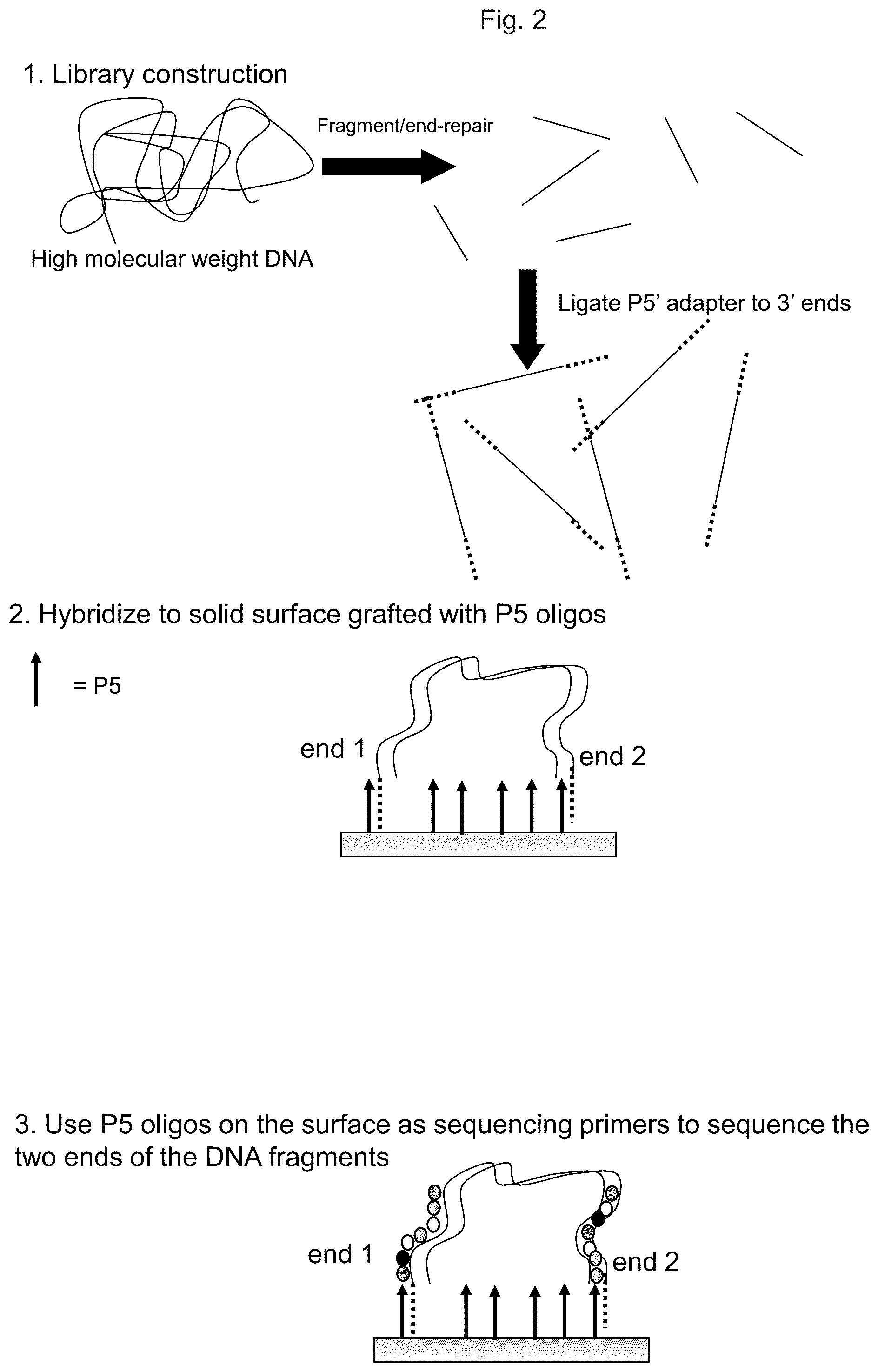 Patent US12319962 Figure 5 – Methods for sequencing polynucleotides