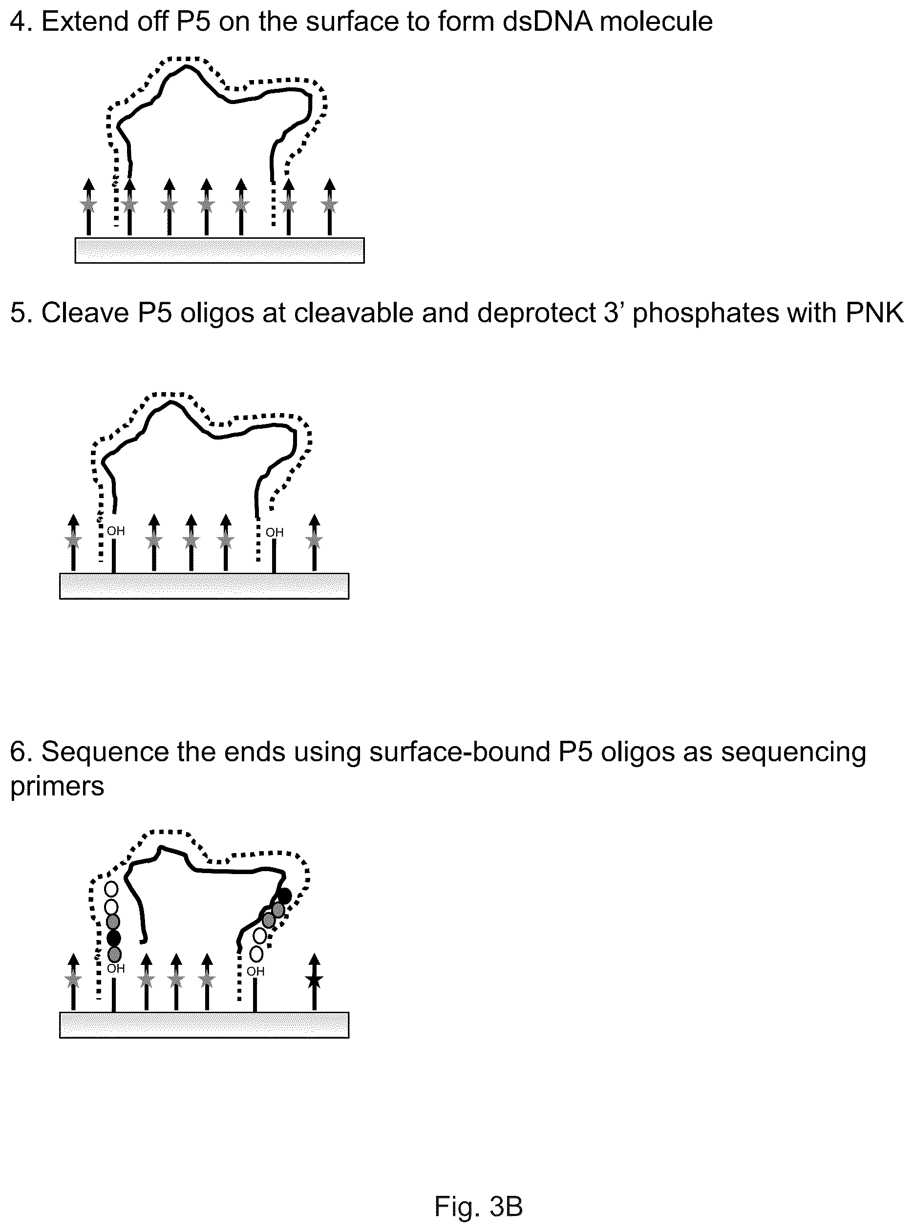 Patent US12319962 Figure 7 – Methods for sequencing polynucleotides