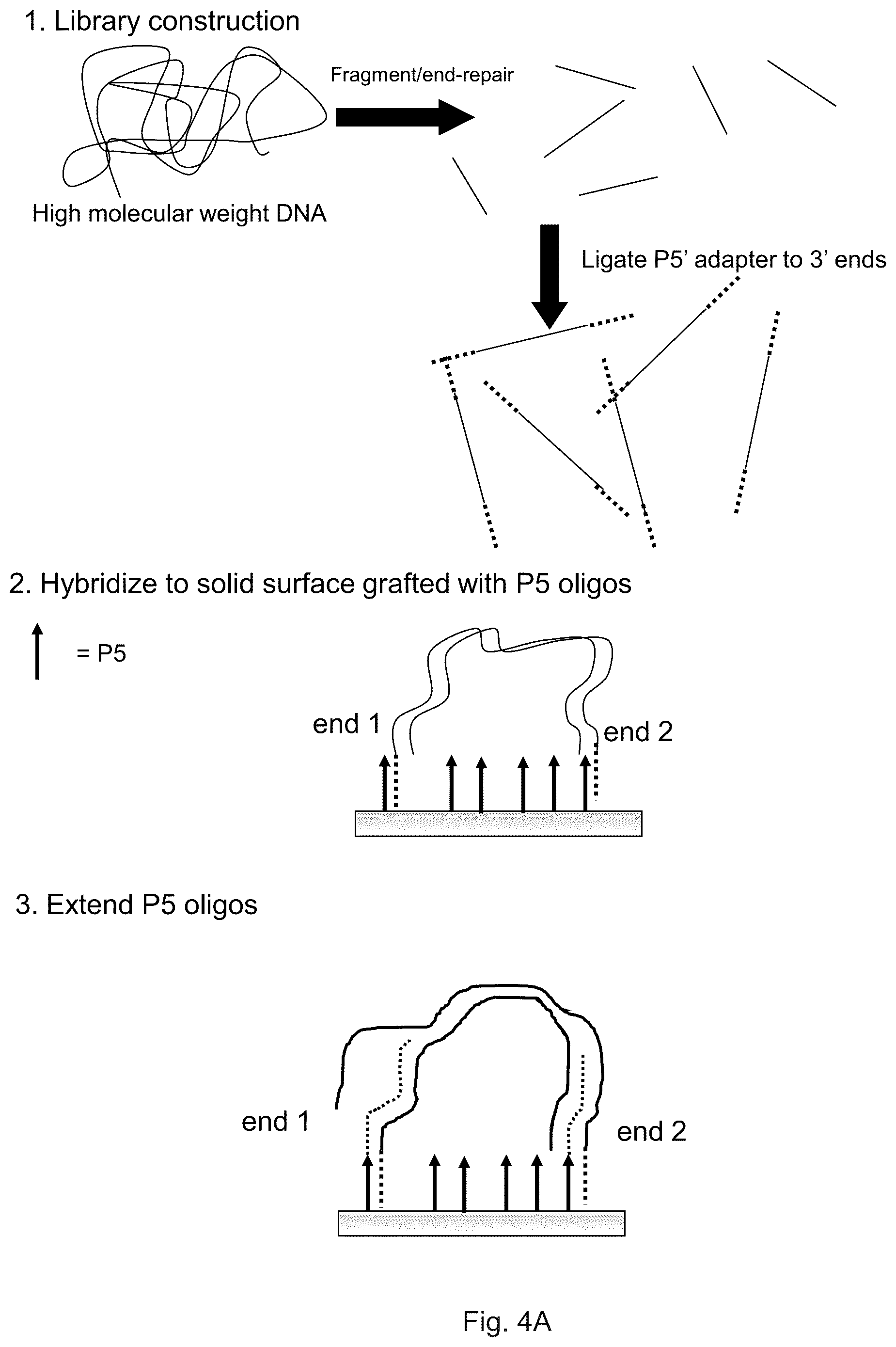 Patent US12319962 Figure 8 – Methods for sequencing polynucleotides