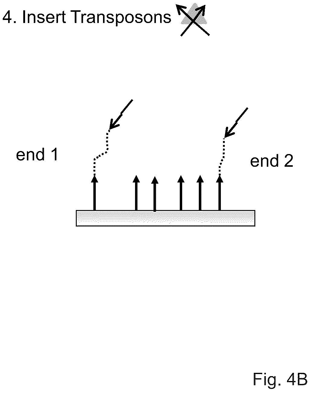Patent US12319962 Figure 9 – Methods for sequencing polynucleotides