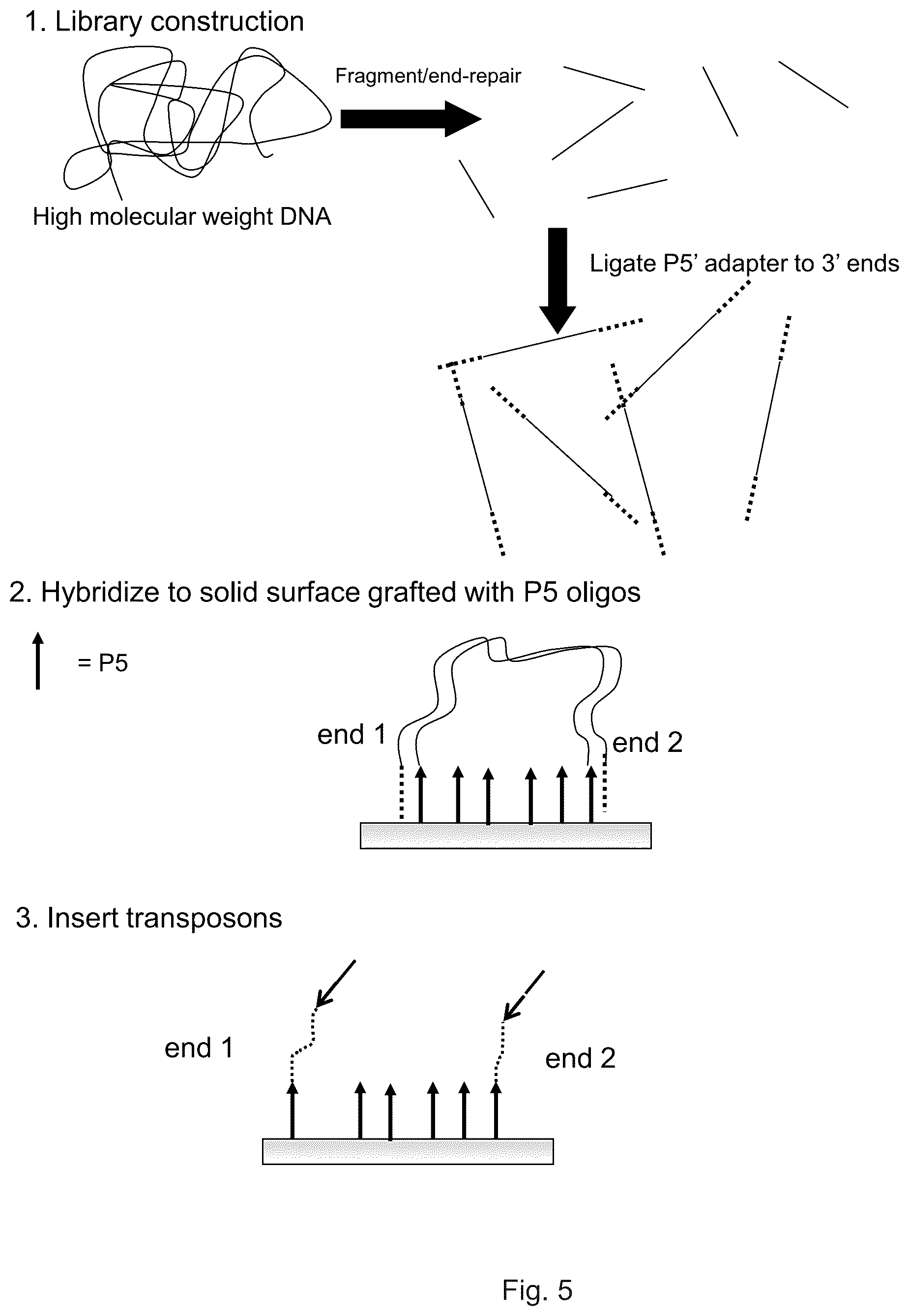 Patent US12319962 Figure 10 – Methods for sequencing polynucleotides