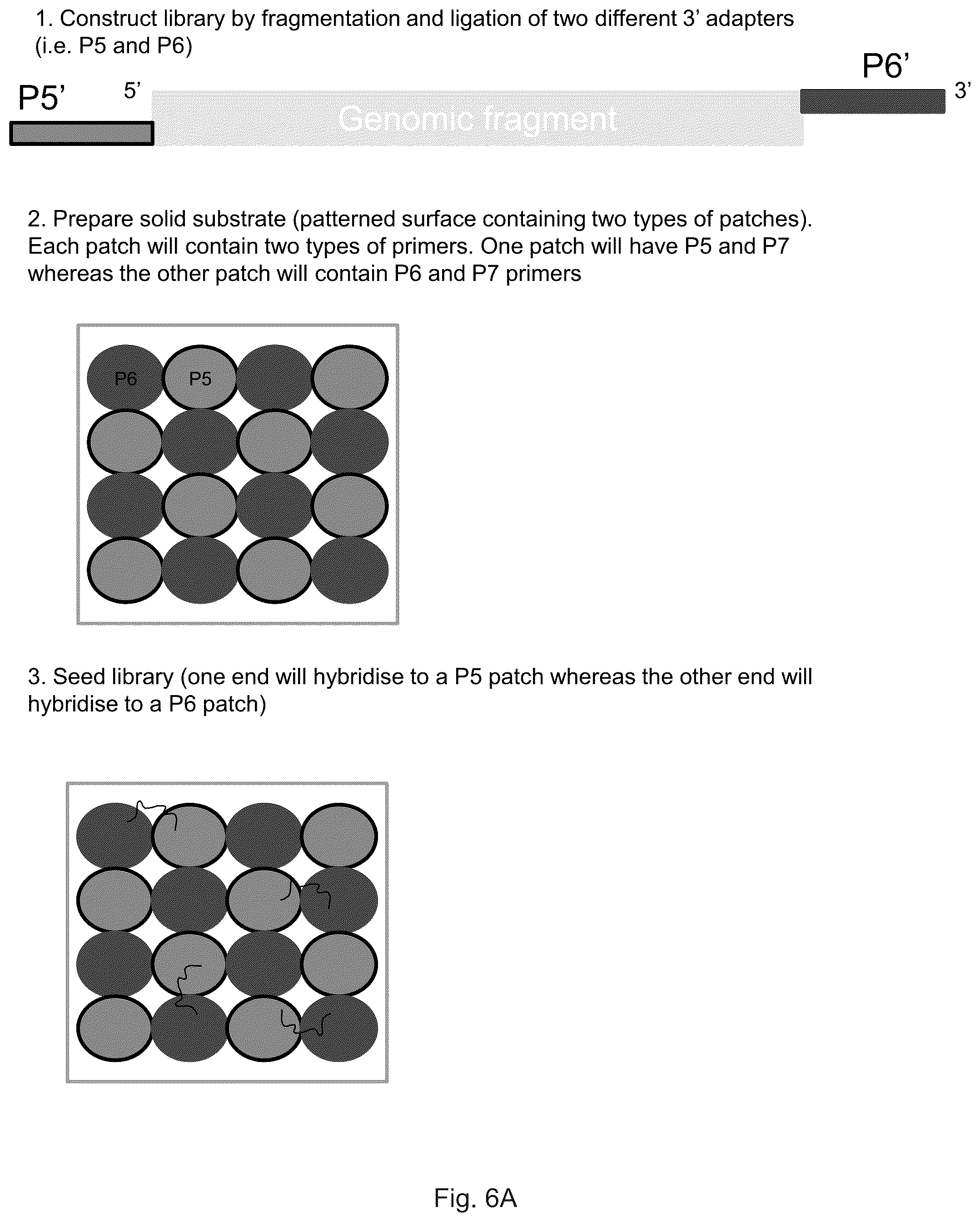 Patent US12319962 Figure 11 – Methods for sequencing polynucleotides