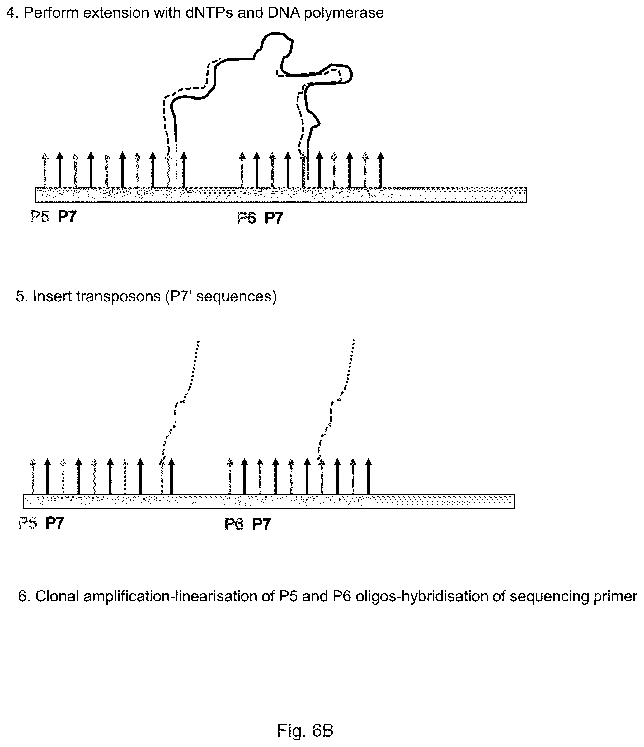 Patent US12319962 Figure 12 – Methods for sequencing polynucleotides
