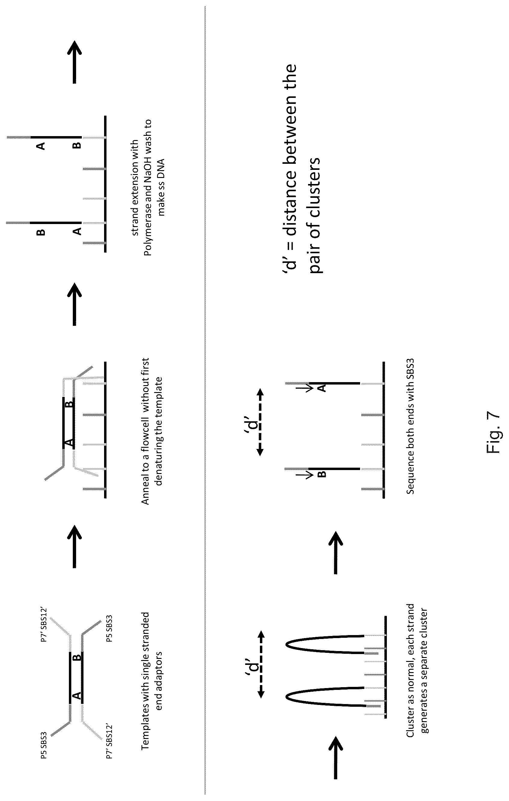 Patent US12319962 Figure 13 – Methods for sequencing polynucleotides