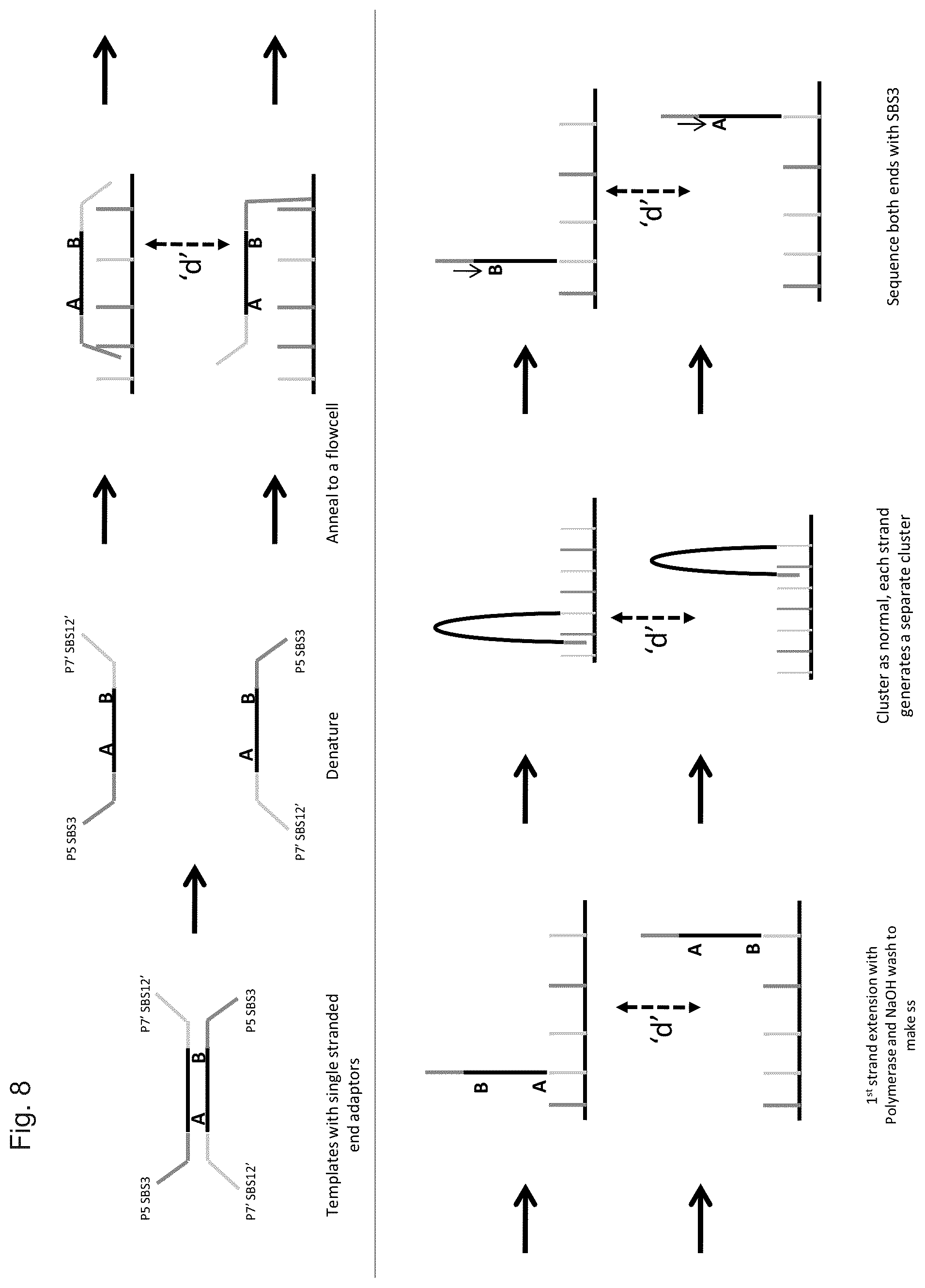 Patent US12319962 Figure 14 – Methods for sequencing polynucleotides