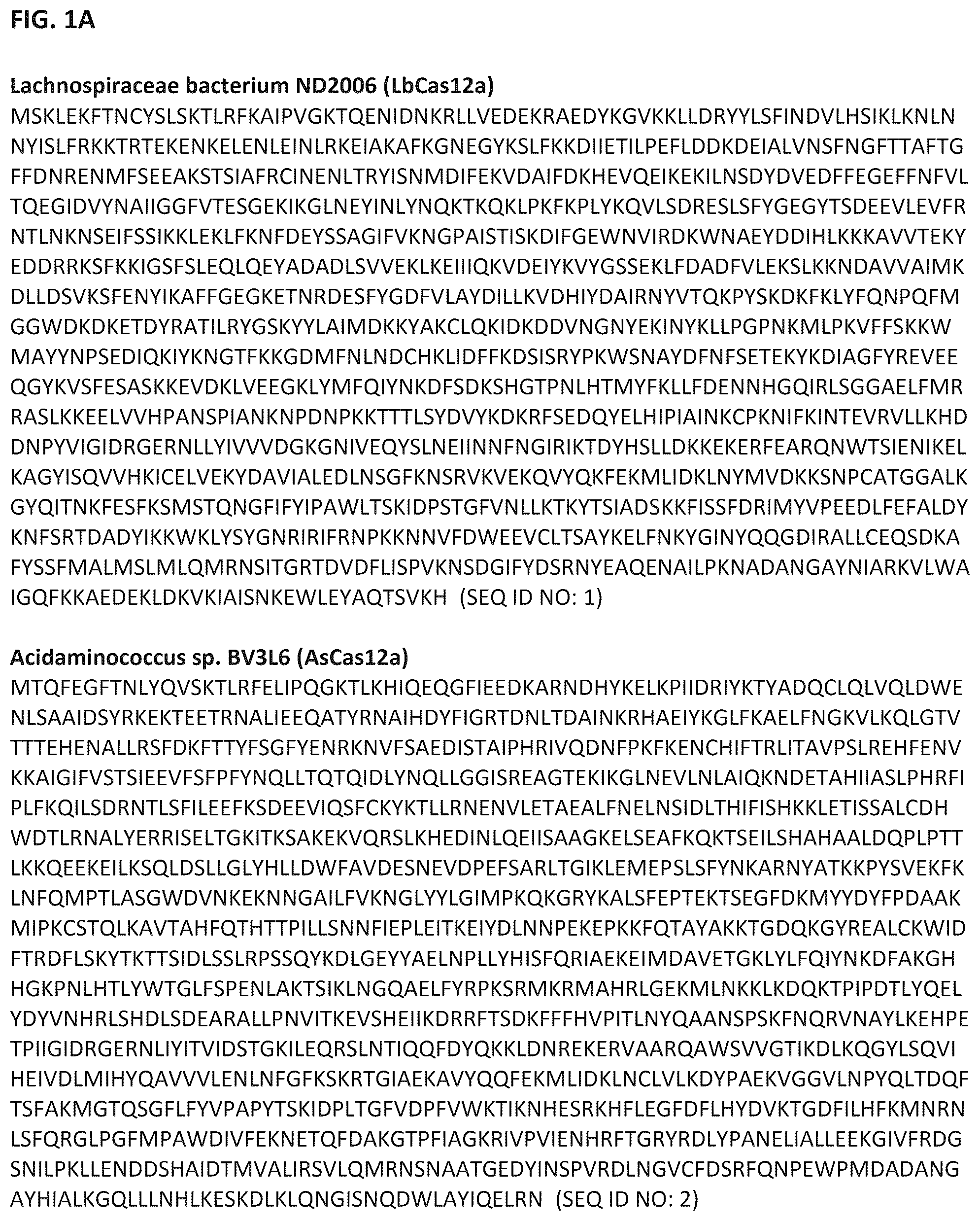 Patent US12319963 Figure 1 – Type V CRISPR/Cas effector proteins for cleaving ssDNAs and detecting target DNAs