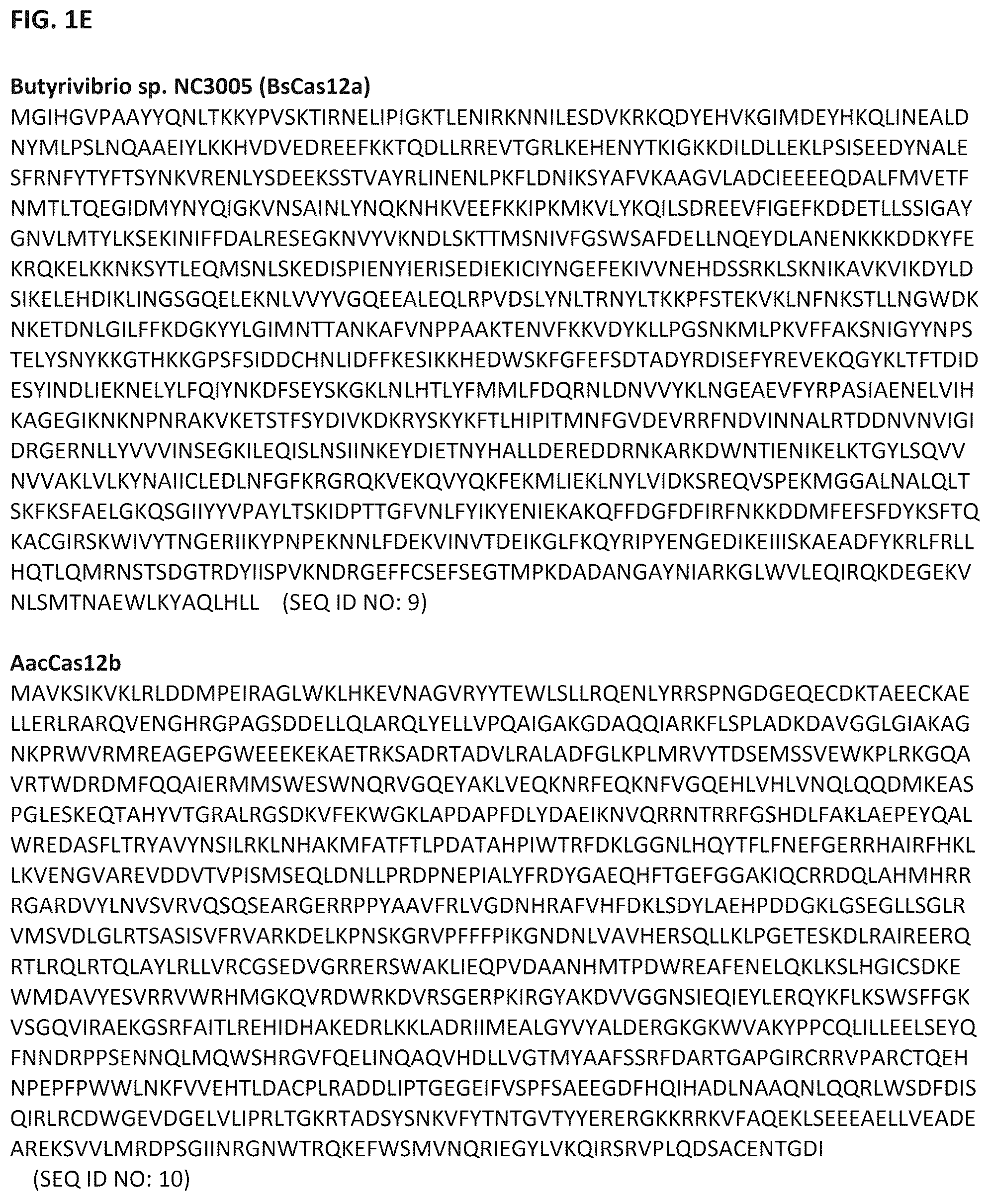 Patent US12319963 Figure 5 – Type V CRISPR/Cas effector proteins for cleaving ssDNAs and detecting target DNAs