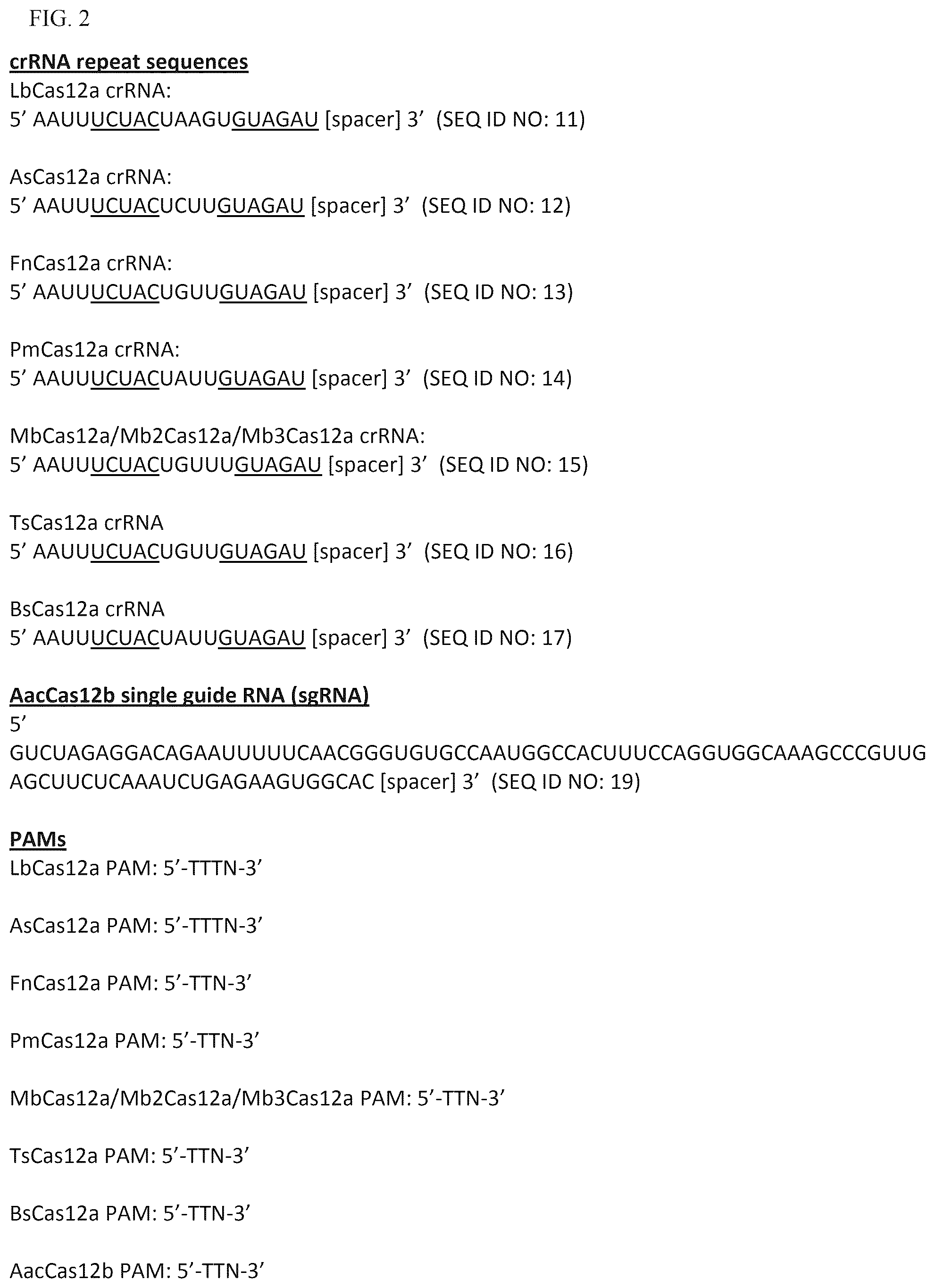 Patent US12319963 Figure 6 – Type V CRISPR/Cas effector proteins for cleaving ssDNAs and detecting target DNAs
