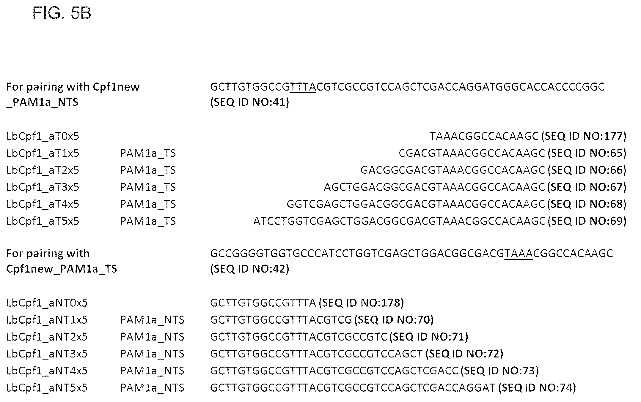 Patent US12319963 Figure 12 – Type V CRISPR/Cas effector proteins for cleaving ssDNAs and detecting target DNAs