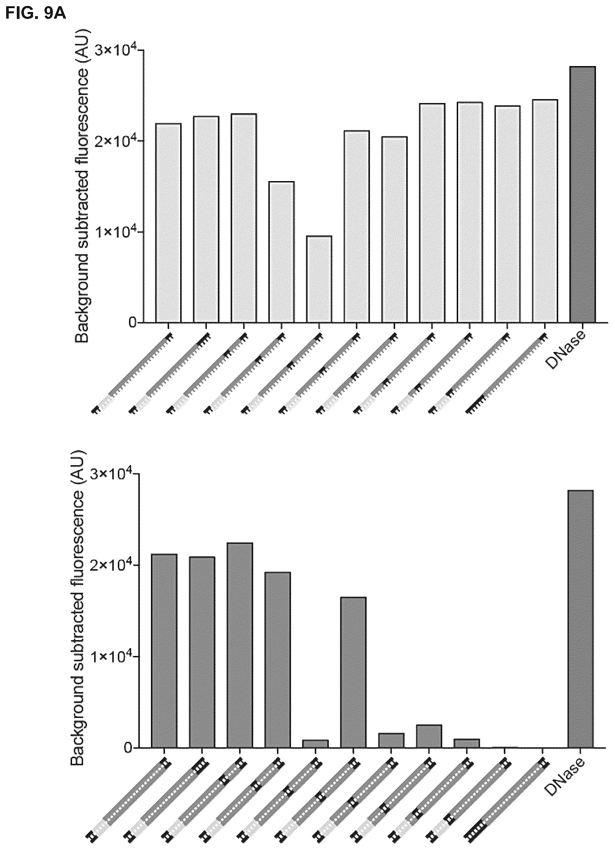 Patent US12319963 Figure 16 – Type V CRISPR/Cas effector proteins for cleaving ssDNAs and detecting target DNAs