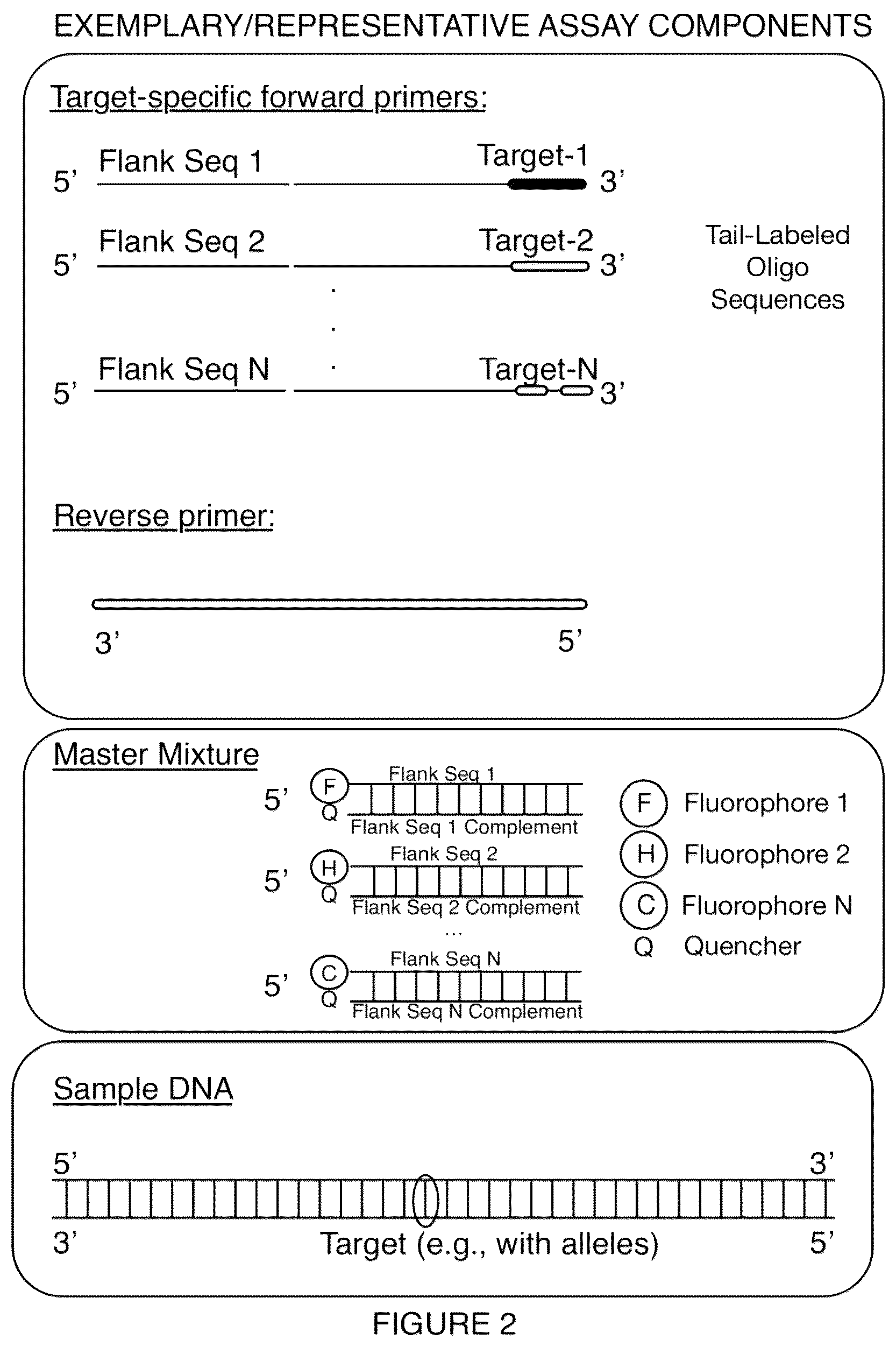Patent US12319964 Figure 3 – Detection and digital quantitation of multiple targets