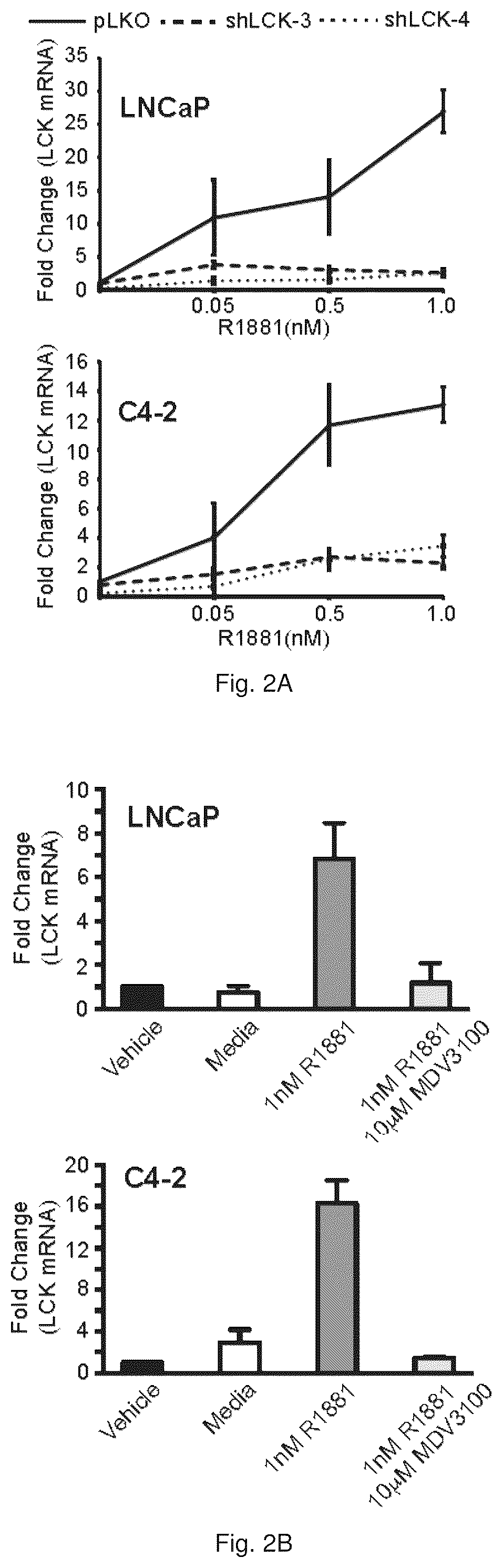 Patent US12319967 Figure 3 – Methods and compositions for diagnosing and treating prostate cancer based on long noncoding RNA overlapping the LCK gene that regulates prostate cancer cell growth
