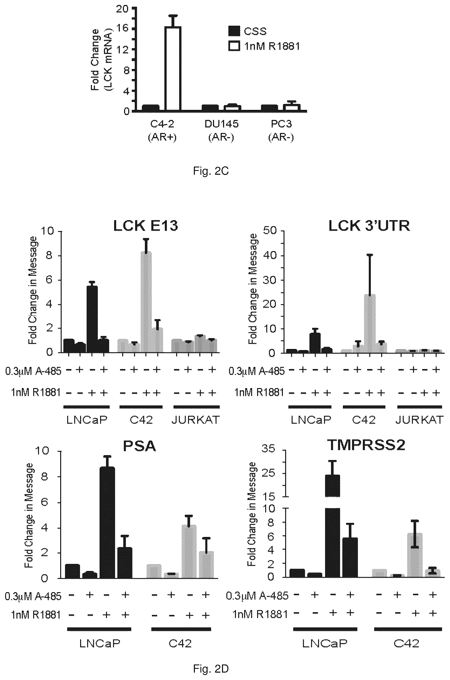 Patent US12319967 Figure 4 – Methods and compositions for diagnosing and treating prostate cancer based on long noncoding RNA overlapping the LCK gene that regulates prostate cancer cell growth
