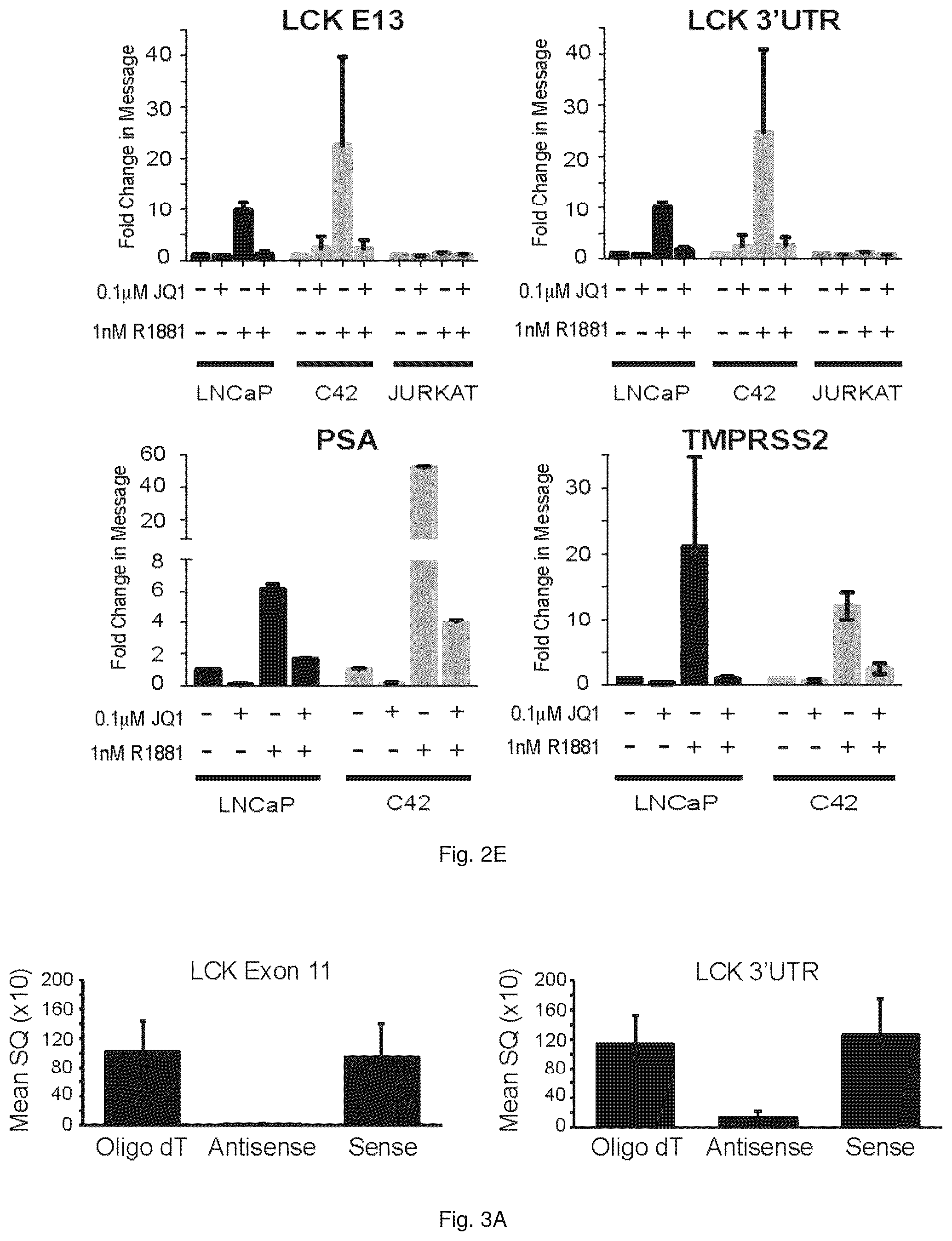 Patent US12319967 Figure 5 – Methods and compositions for diagnosing and treating prostate cancer based on long noncoding RNA overlapping the LCK gene that regulates prostate cancer cell growth