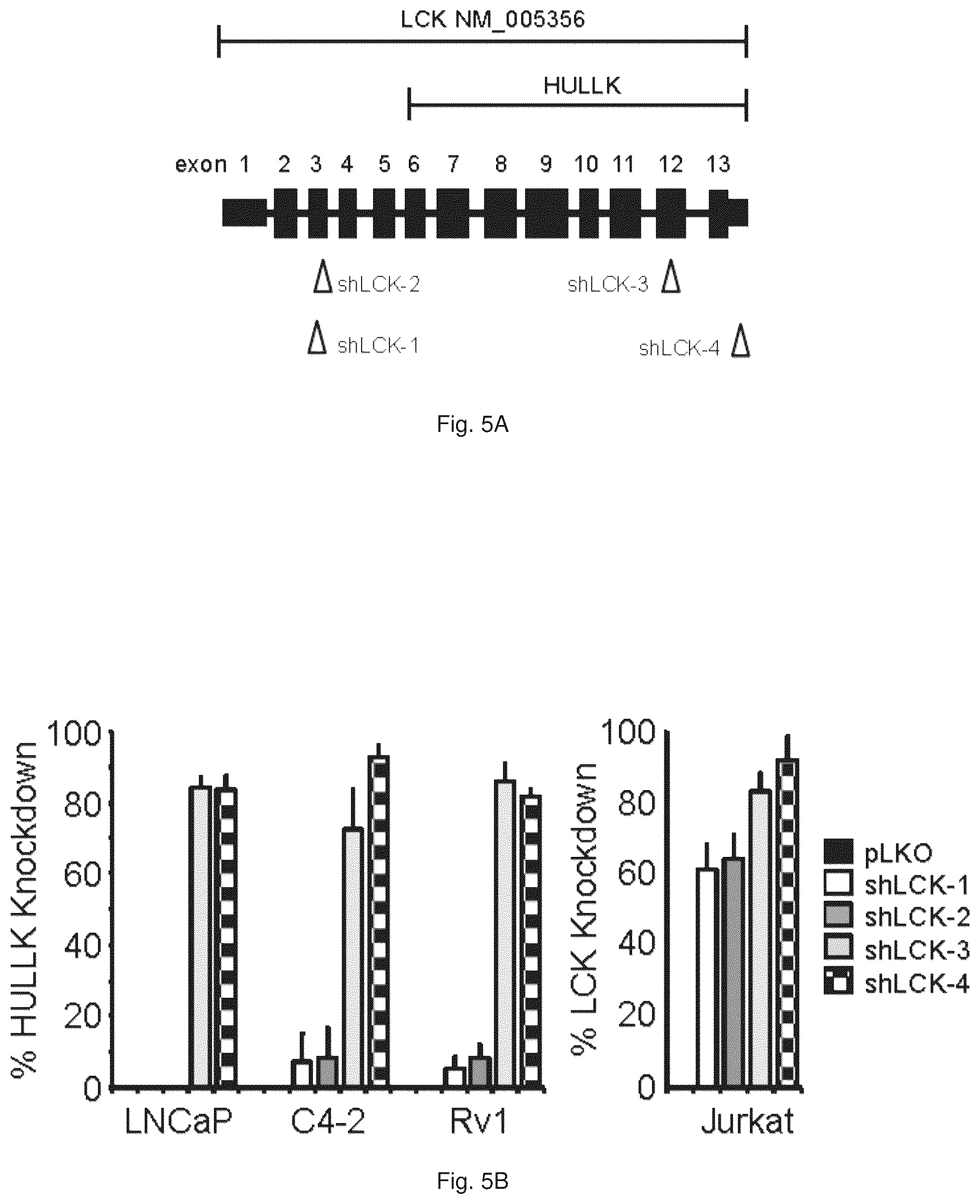 Patent US12319967 Figure 10 – Methods and compositions for diagnosing and treating prostate cancer based on long noncoding RNA overlapping the LCK gene that regulates prostate cancer cell growth