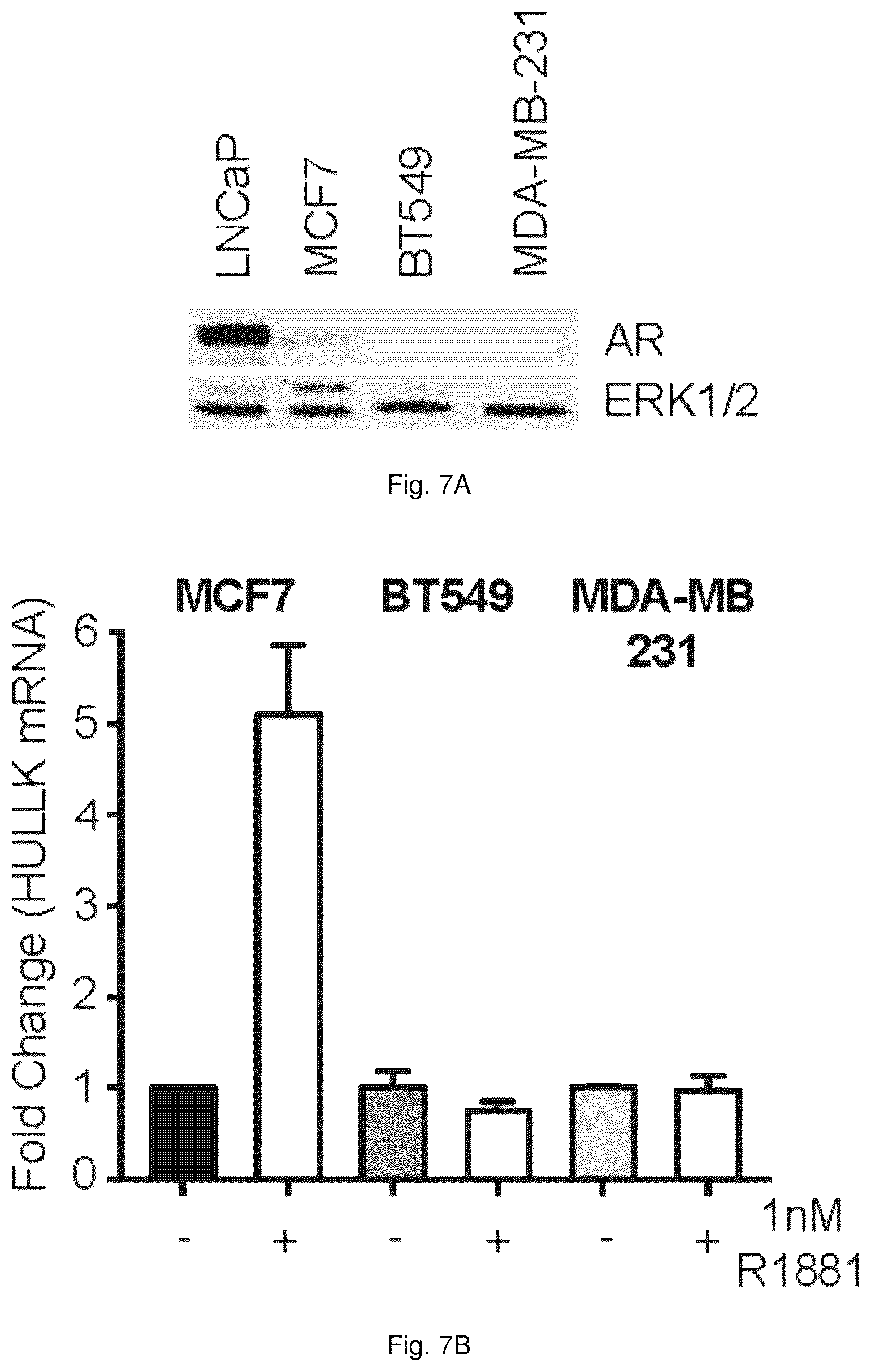 Patent US12319967 Figure 14 – Methods and compositions for diagnosing and treating prostate cancer based on long noncoding RNA overlapping the LCK gene that regulates prostate cancer cell growth