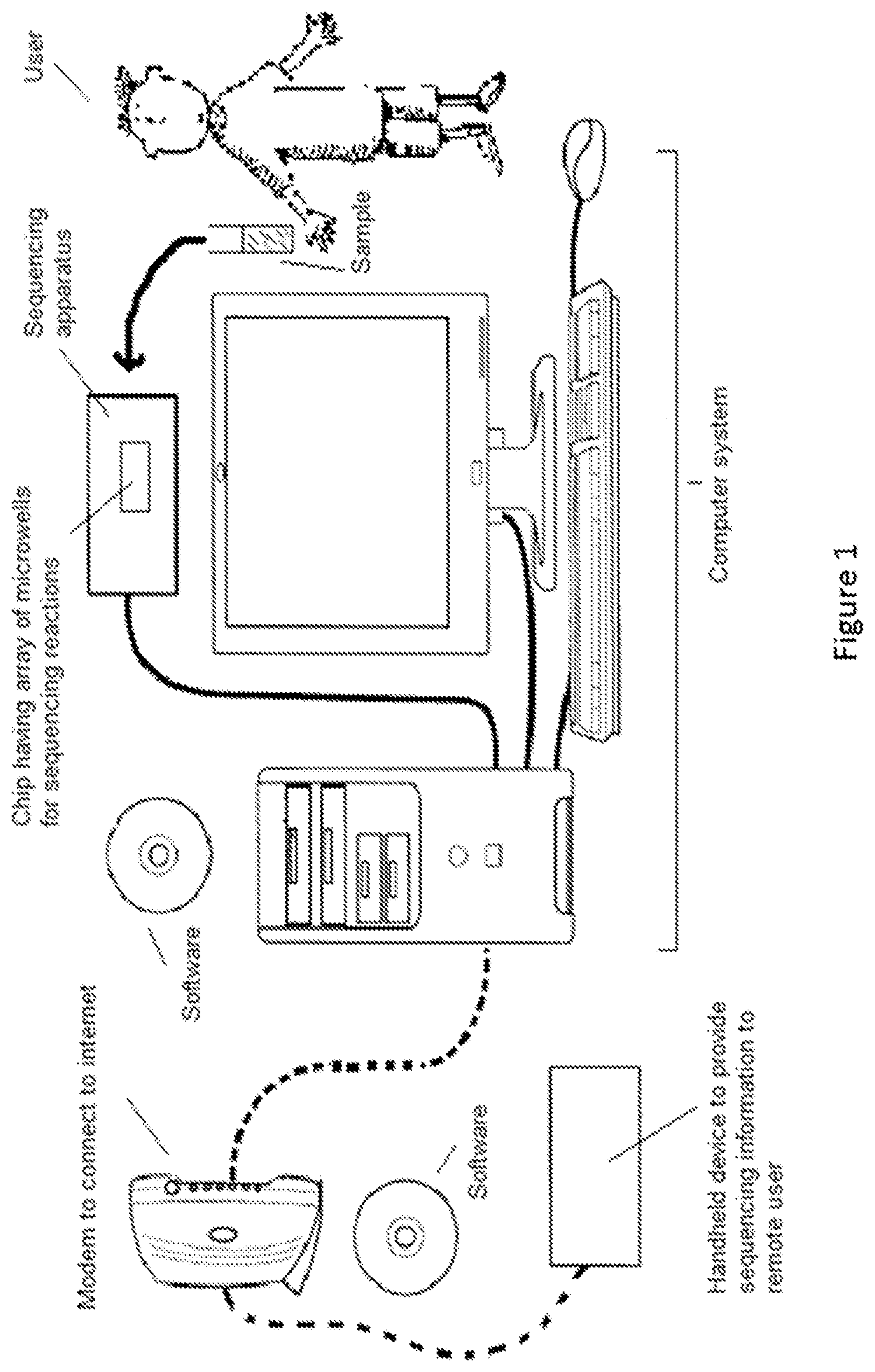 Patent US12319968 Figure 1 – Gene mutations and copy number alterations of EGFR, KRAS and MET