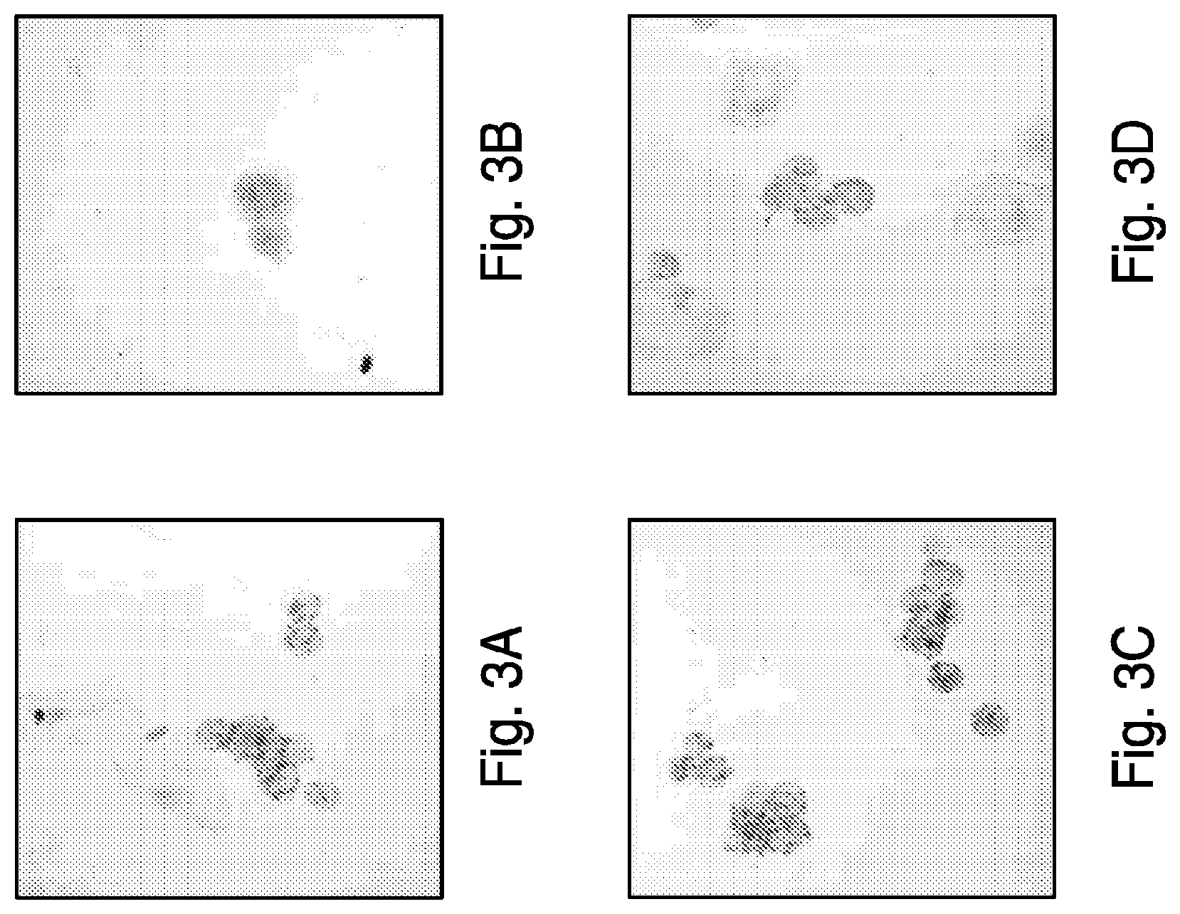 Patent US12319971 Figure 3 – Methods for prostate cancer detection